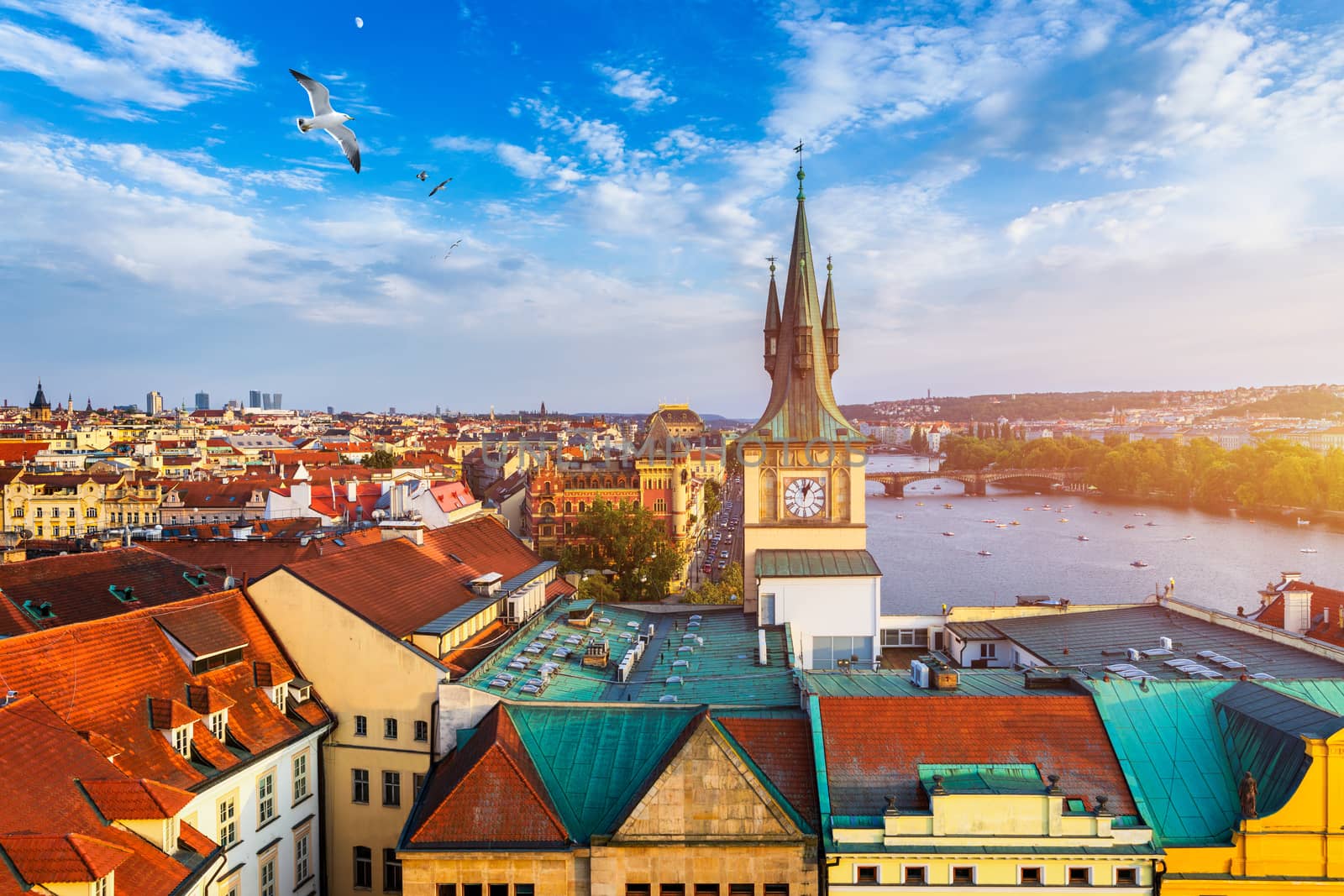 Aerial panorama view with flying birds of the Old Town in Prague, Czech Republic. Red roof tiles panorama of Prague old town.  Prague Old Town Square houses with traditional red roofs. Czechia.