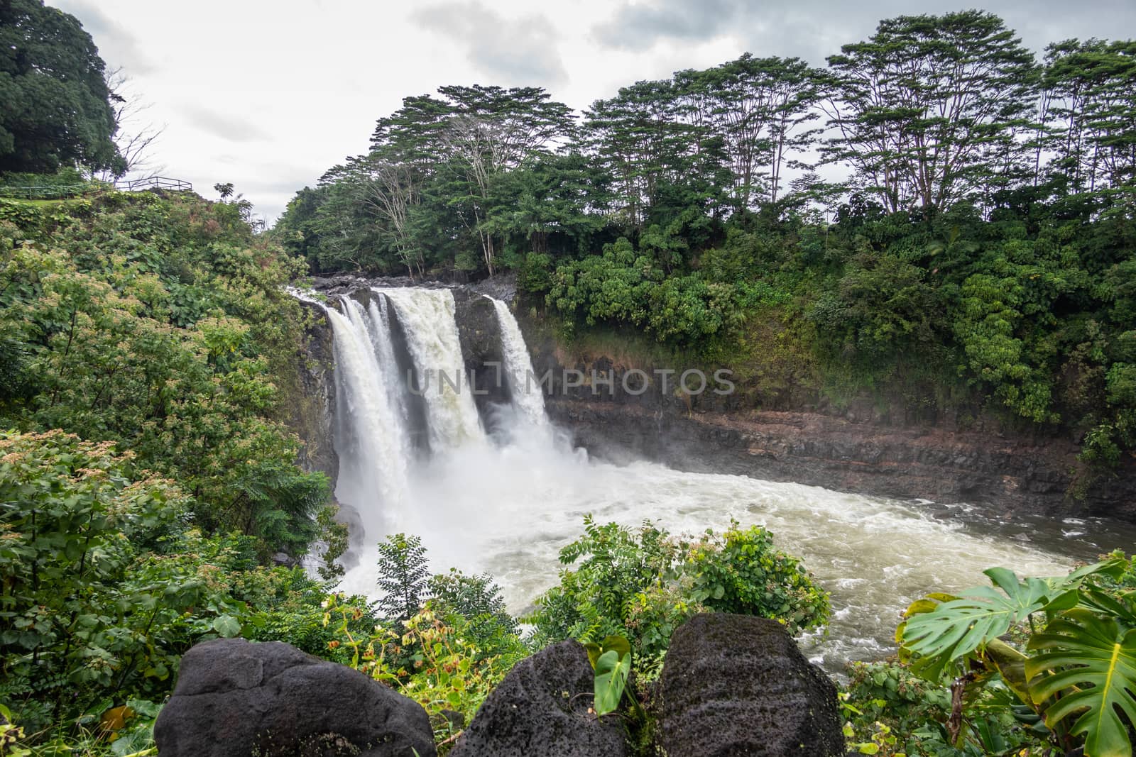 Hilo, Hawaii, USA. - January 14, 2020: Longer shot on White Rainbow Falls on foaming violent Wailuku River surrounded by green trees and plants under white-gray cloudscape.