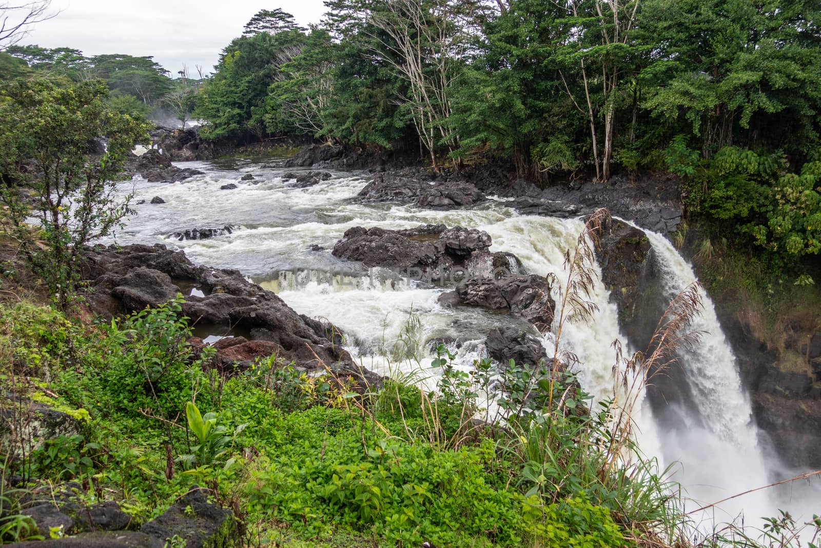 Hilo, Hawaii, USA. - January 14, 2020: Water runs over the edge of  White Rainbow Falls on Wailuku River surrounded by green trees and plants.