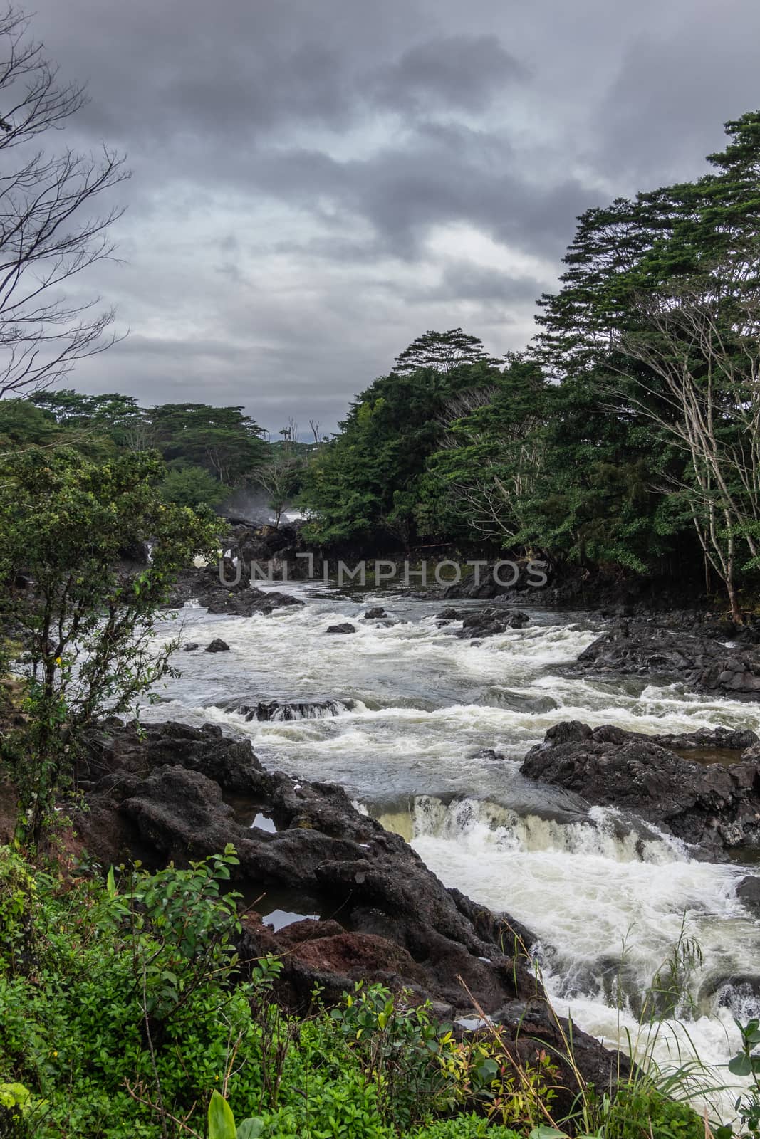 Wailuku river above Rainbow Falls, Hilo, Hawaii, USA. by Claudine