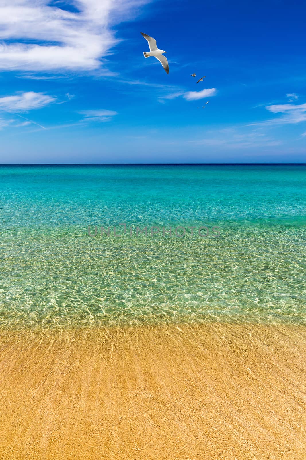 Beautiful turquoise beach Falasarna (Falassarna) in Crete, Greece. View of famous paradise sandy deep turquoise beach of Falasarna (Falassarna) in North West, Crete island, Greece.