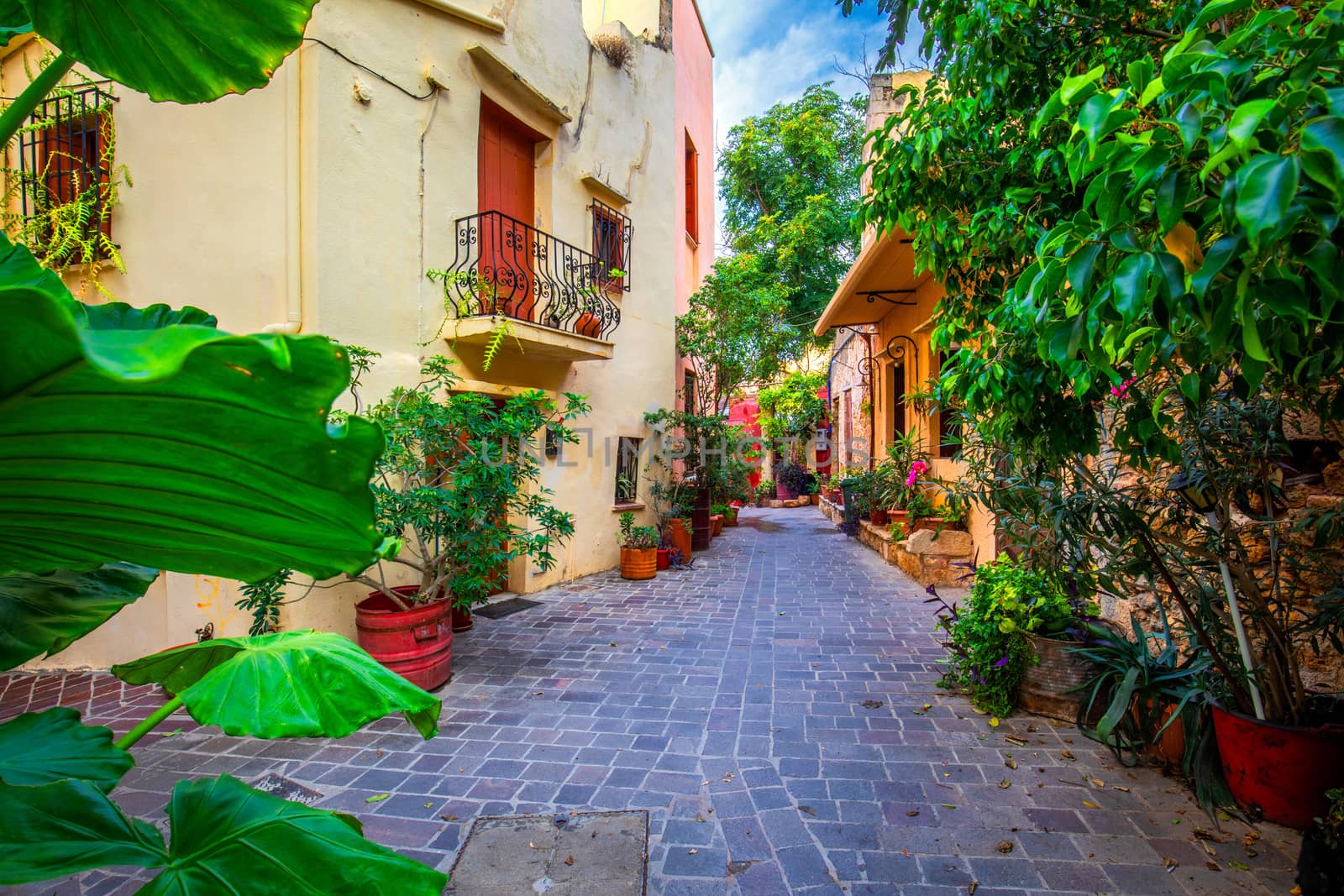 Street in the old town of Chania, Crete, Greece. Charming streets of Greek islands, Crete. Beautiful street in Chania, Crete island, Greece. Summer landscape. Chania old street of Crete island Greece.