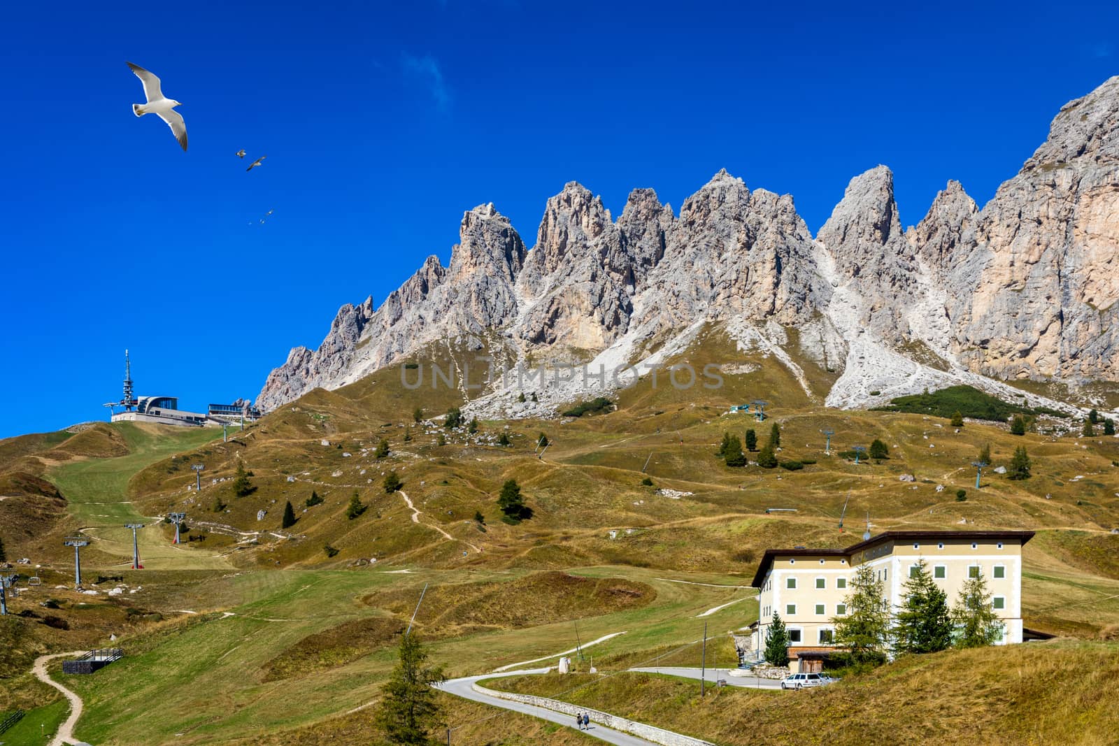 Gardena Pass, Trentino Alto Adige, Italy. Gardena Pass with Sassolungo mountain on the background. Passo Gardena, alpine pass between Val Badia and Val Gardena, South Tyrol, Italy.