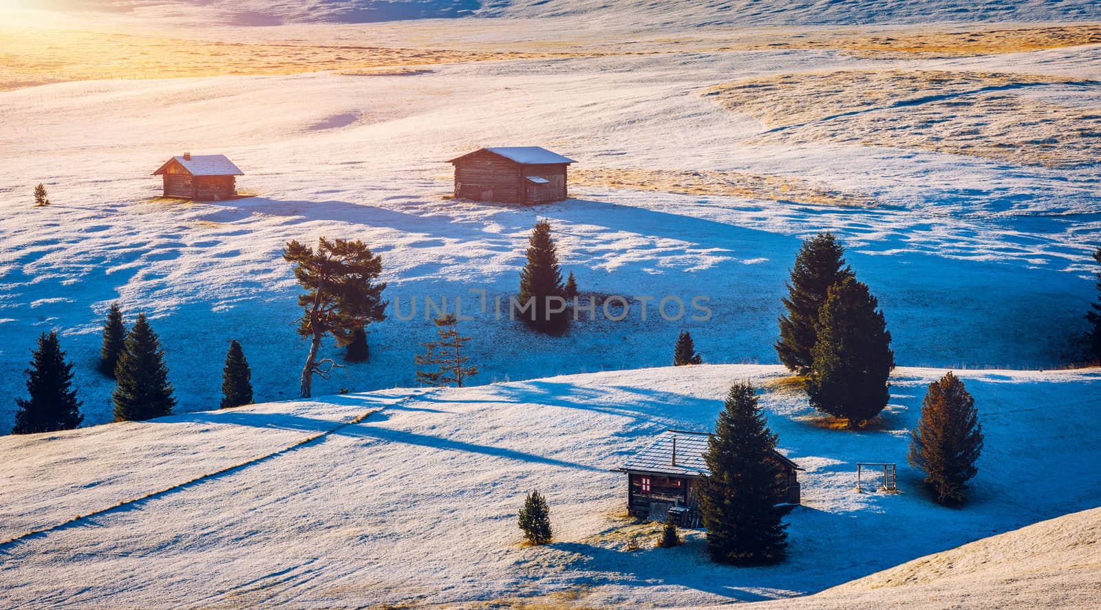 Alpe di Siusi or Seiser Alm with Sassolungo, Langkofel mountain group in background. Alpe di Siusi or Seiser Alm, Sassolungo and Sassopiatto mountains, Trentino Alto Adige, Sud Tyrol, Italy, Europe.