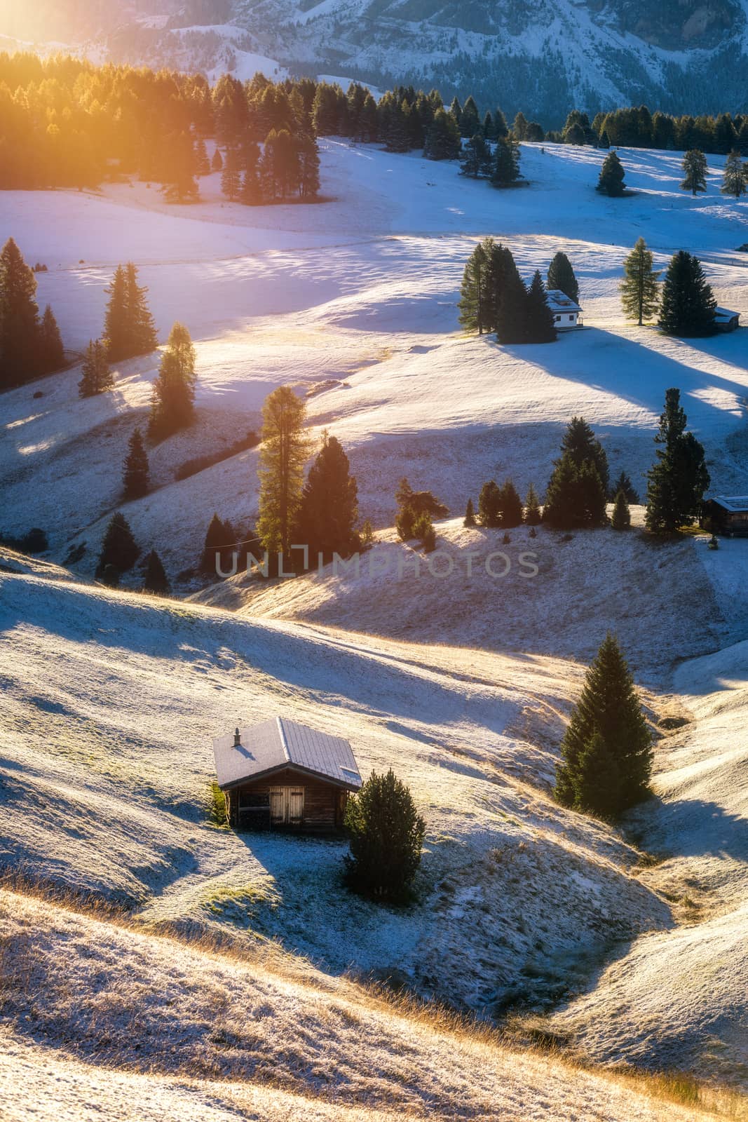 Alpe di Siusi or Seiser Alm with Sassolungo, Langkofel mountain group in background. Alpe di Siusi or Seiser Alm, Sassolungo and Sassopiatto mountains, Trentino Alto Adige, Sud Tyrol, Italy, Europe.