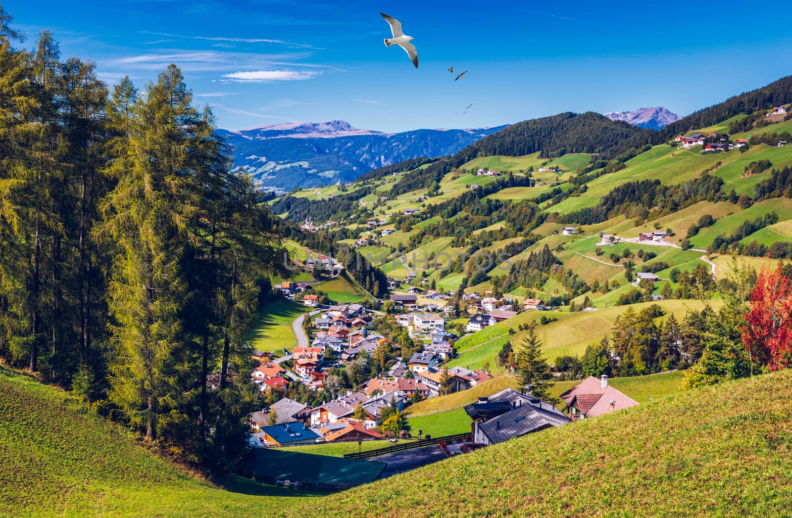 Santa Maddalena (Santa Magdalena) village with magical Dolomites mountains in background, Val di Funes valley, Trentino Alto Adige region, South Tyrol, Italy, Europe. Santa Maddalena Village, Italy. 