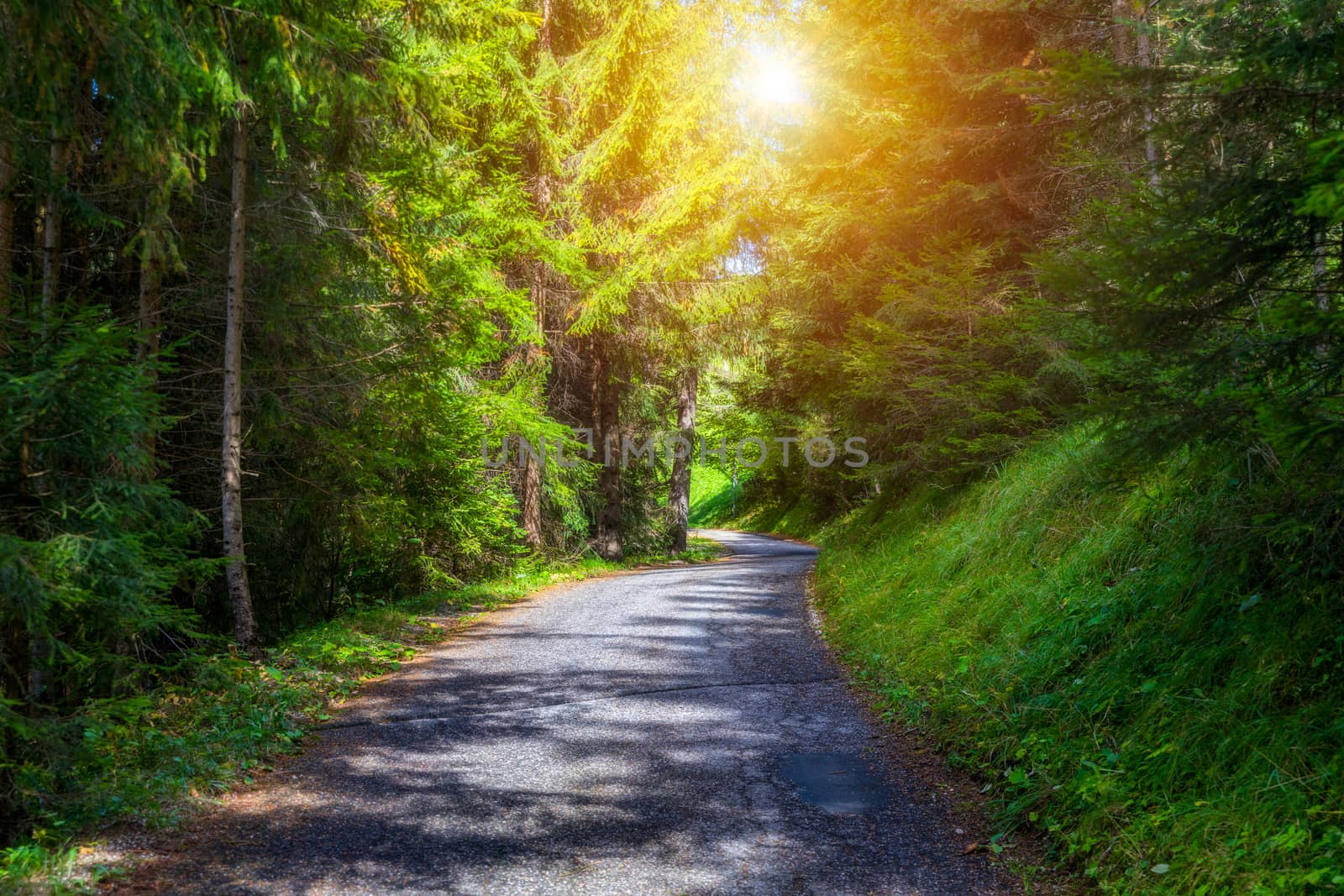 Mountain road. Landscape with rocks, sunny sky with clouds and beautiful asphalt road in the evening in summer. Vintage toning. Travel background. Highway in mountains.  