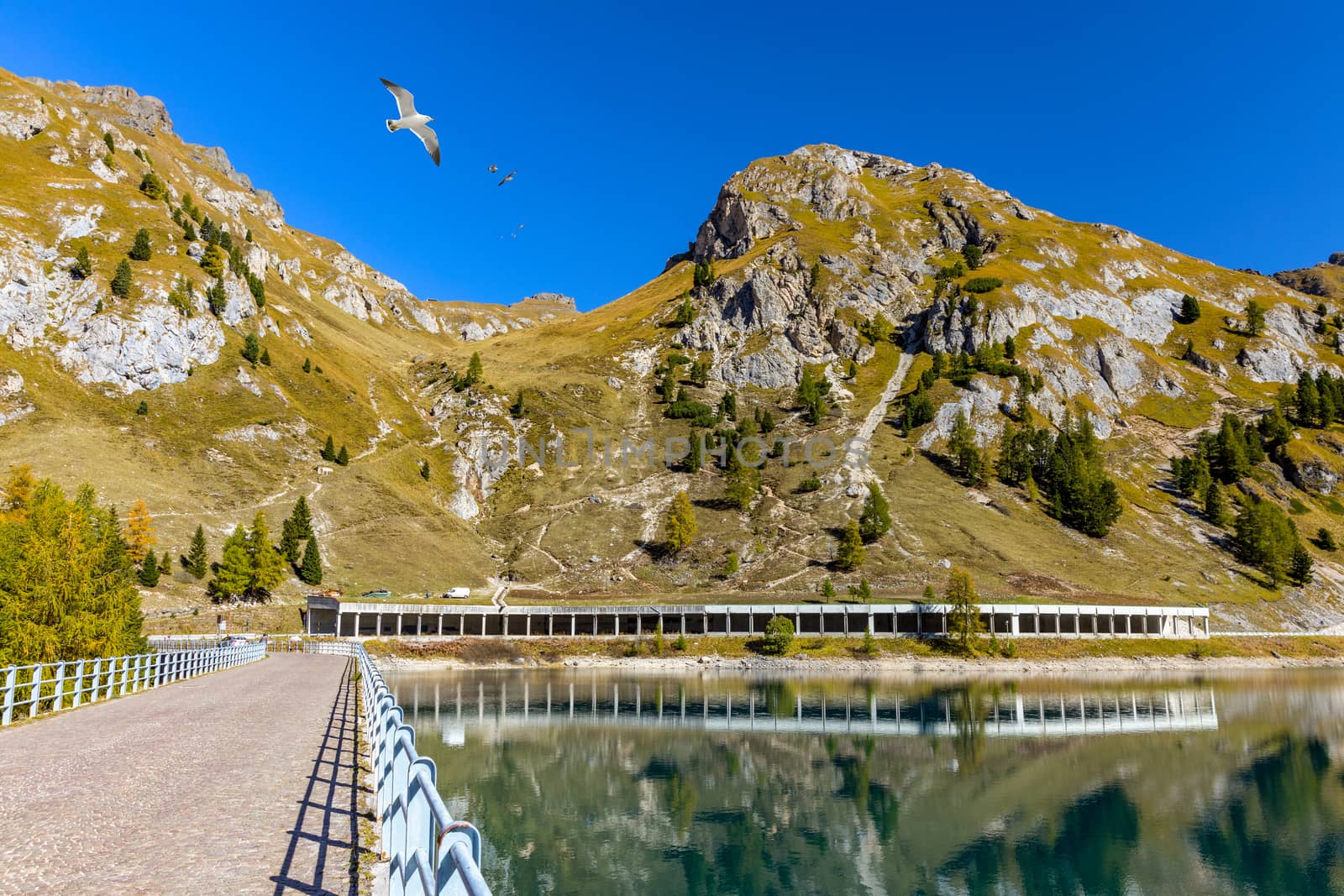 Lago Fedaia (Fedaia Lake), Fassa Valley, Trentino Alto Adige, an artificial lake and a dam near Canazei city, located at the foot of Marmolada massif. Fedaia Lake is the Province of Belluno, Italy.