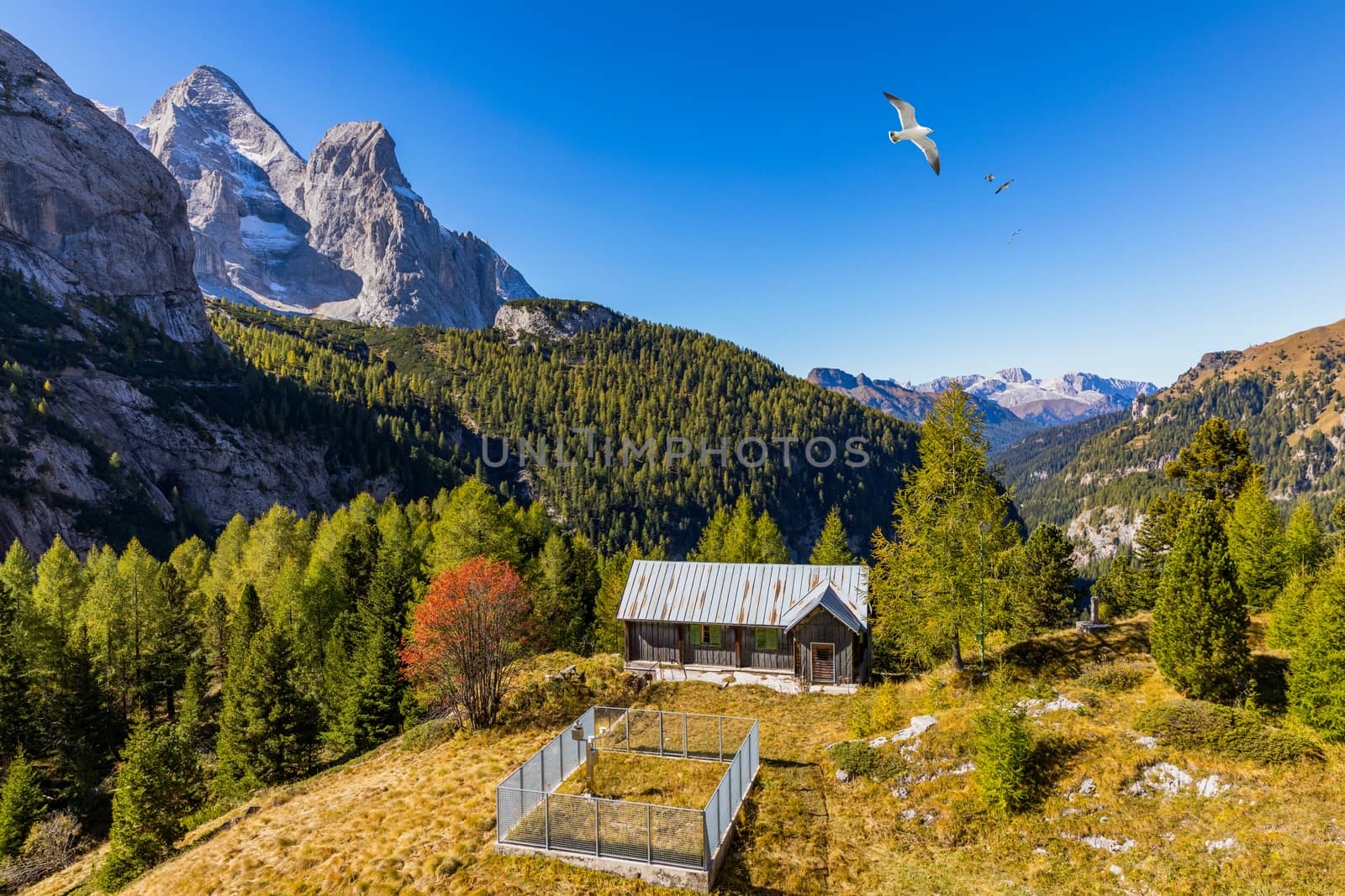 Lago Fedaia (Fedaia Lake), Fassa Valley, Trentino Alto Adige, an artificial lake and a dam near Canazei city, located at the foot of Marmolada massif. Fedaia Lake is the Province of Belluno, Italy.