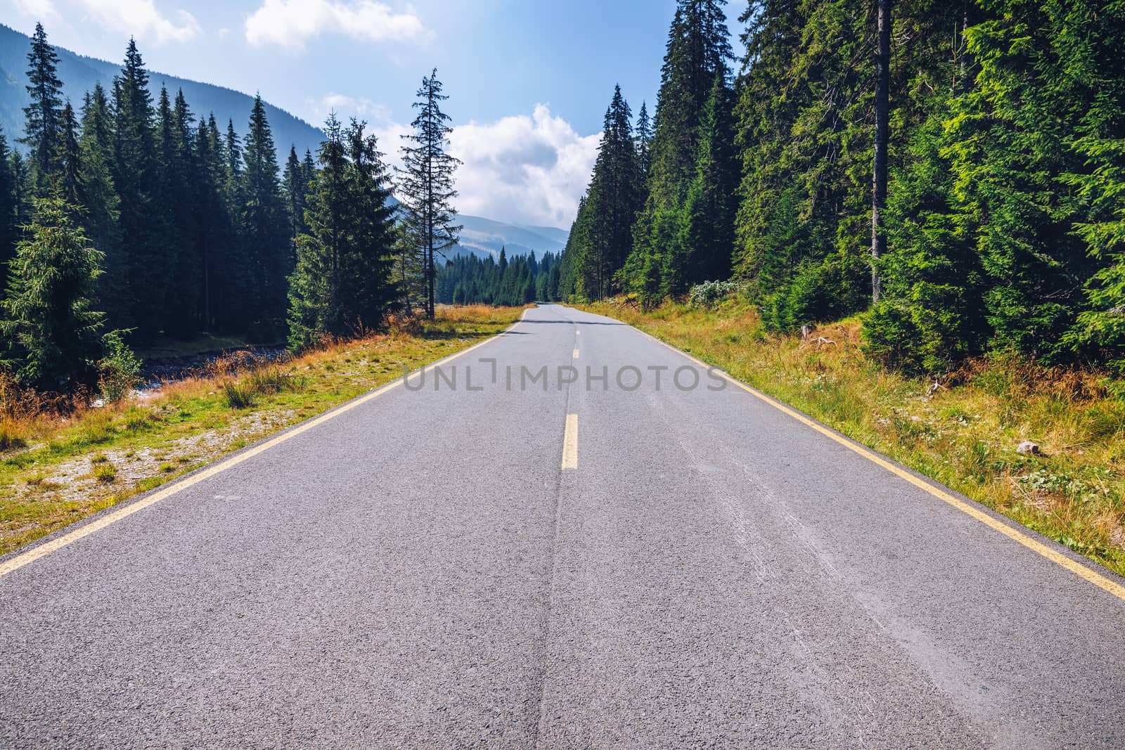Empty asphalt road with cloudy sky and sunlight in mountains and forest. Transalpina landscape, Romania.