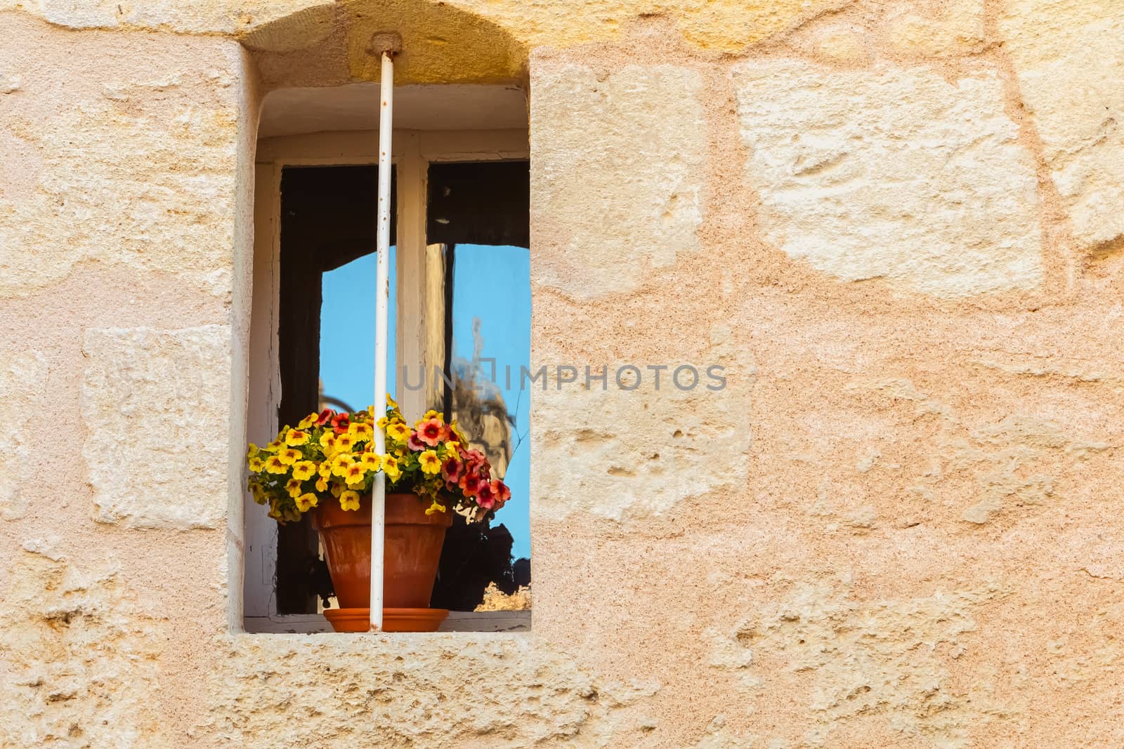 stone wall with an old window and a yellow flower pot