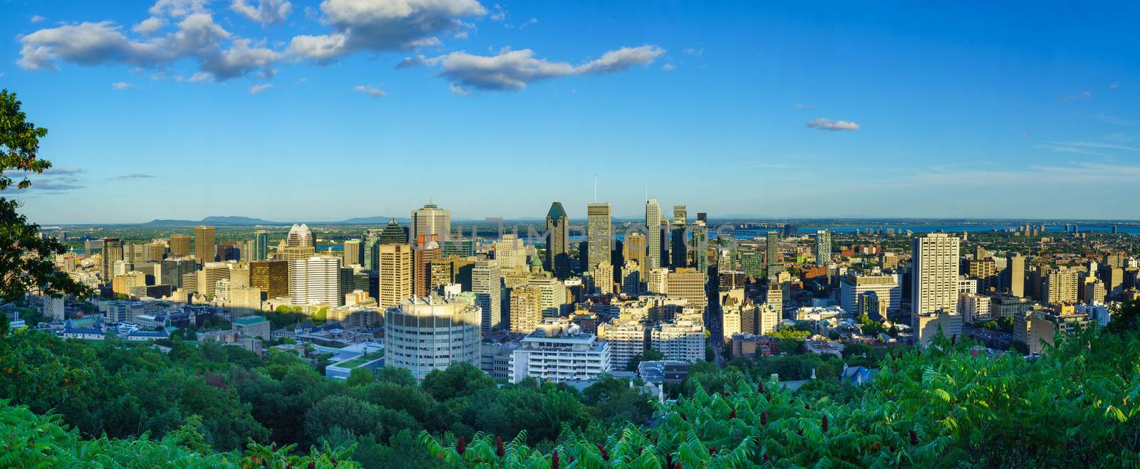 Panoramic view of the Downtown Montreal  by RnDmS