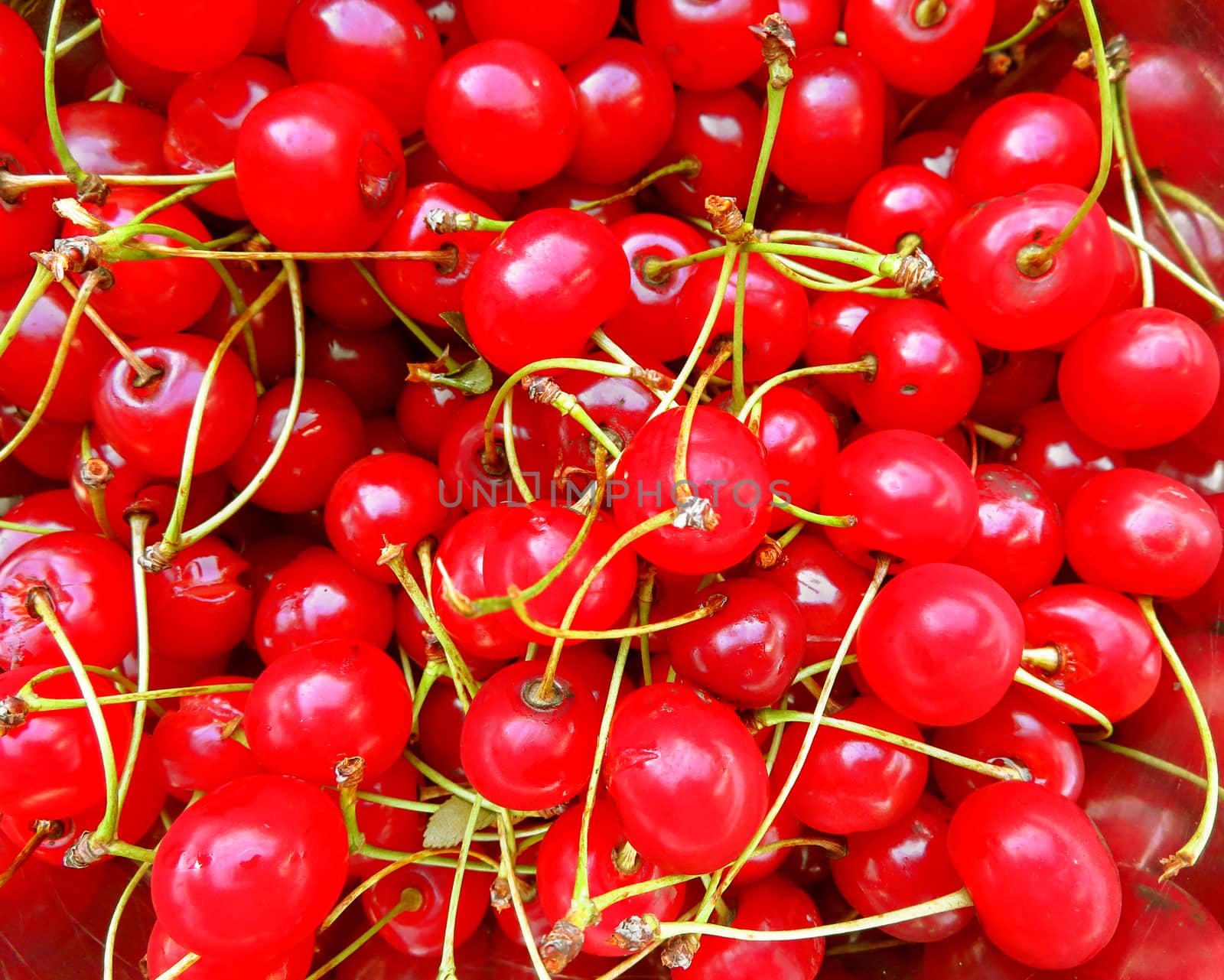 Pile of cherries fresh fruit background texture