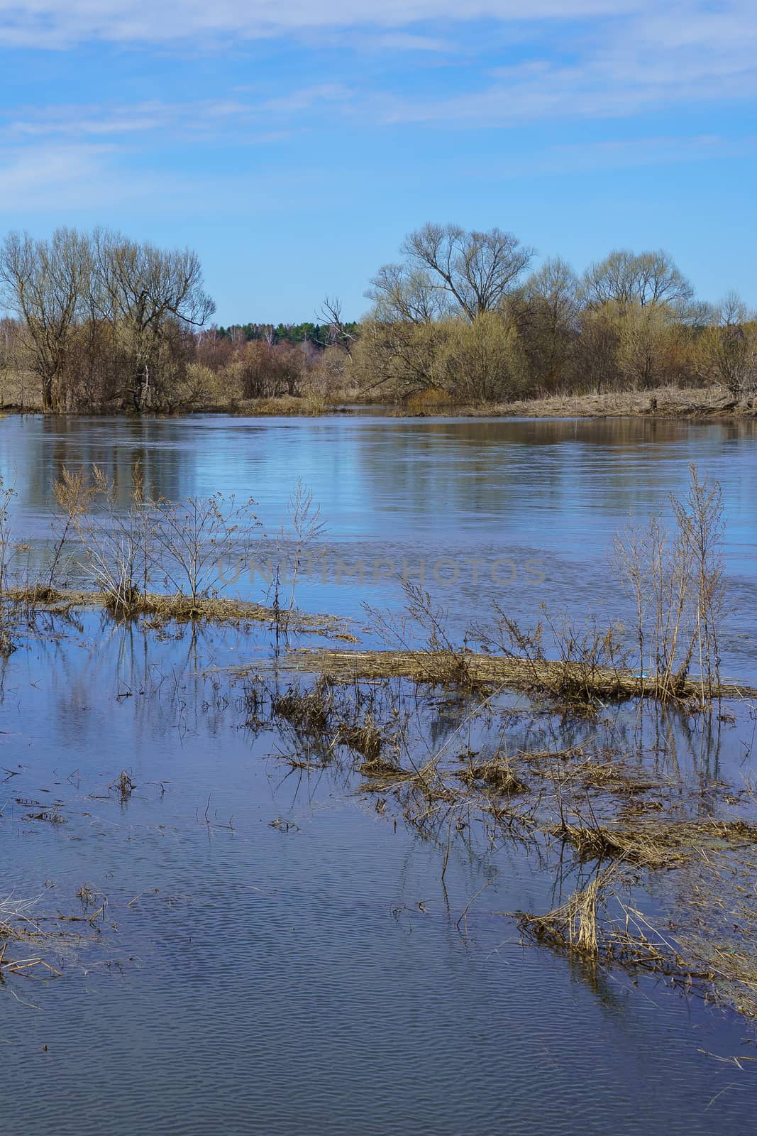 river in spring during spill on a sunny day, vertical frame