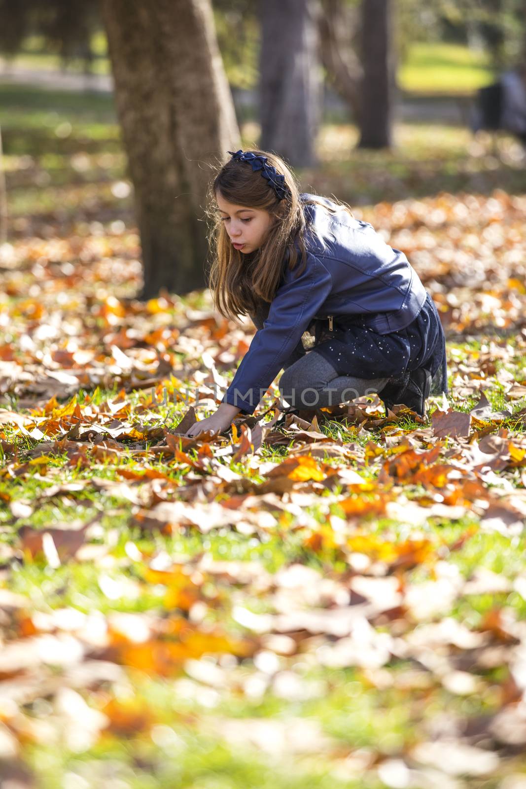 Girl in the park picking autumn leaves in the ground.
