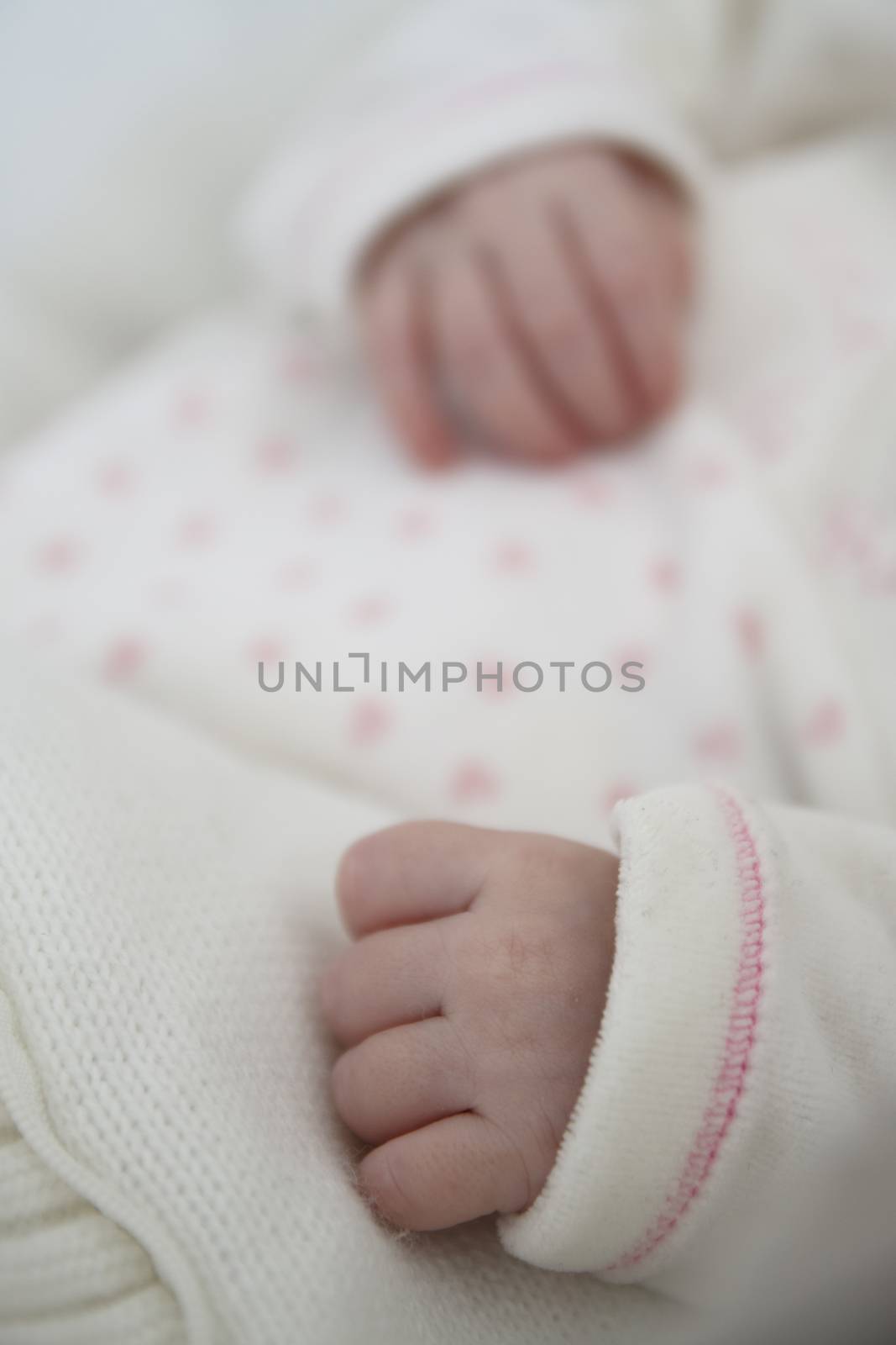 Hands of new born baby. DOF.