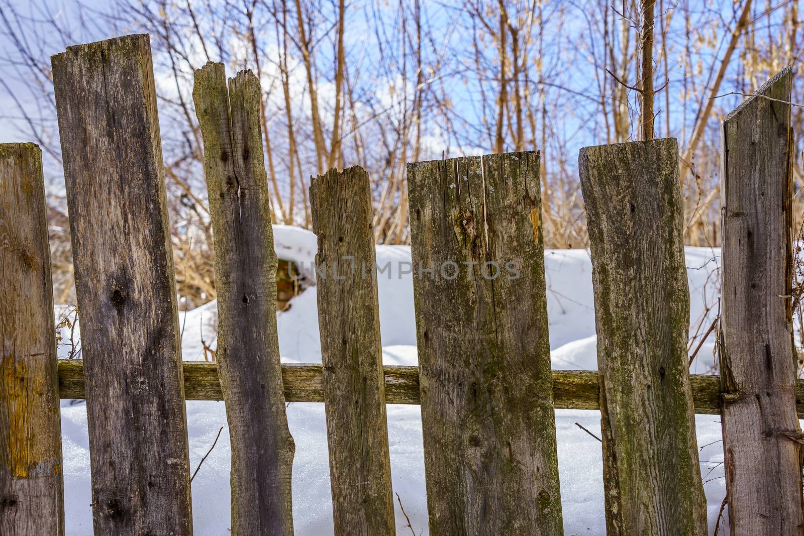 old fence around the garden of nailing boards, winter day