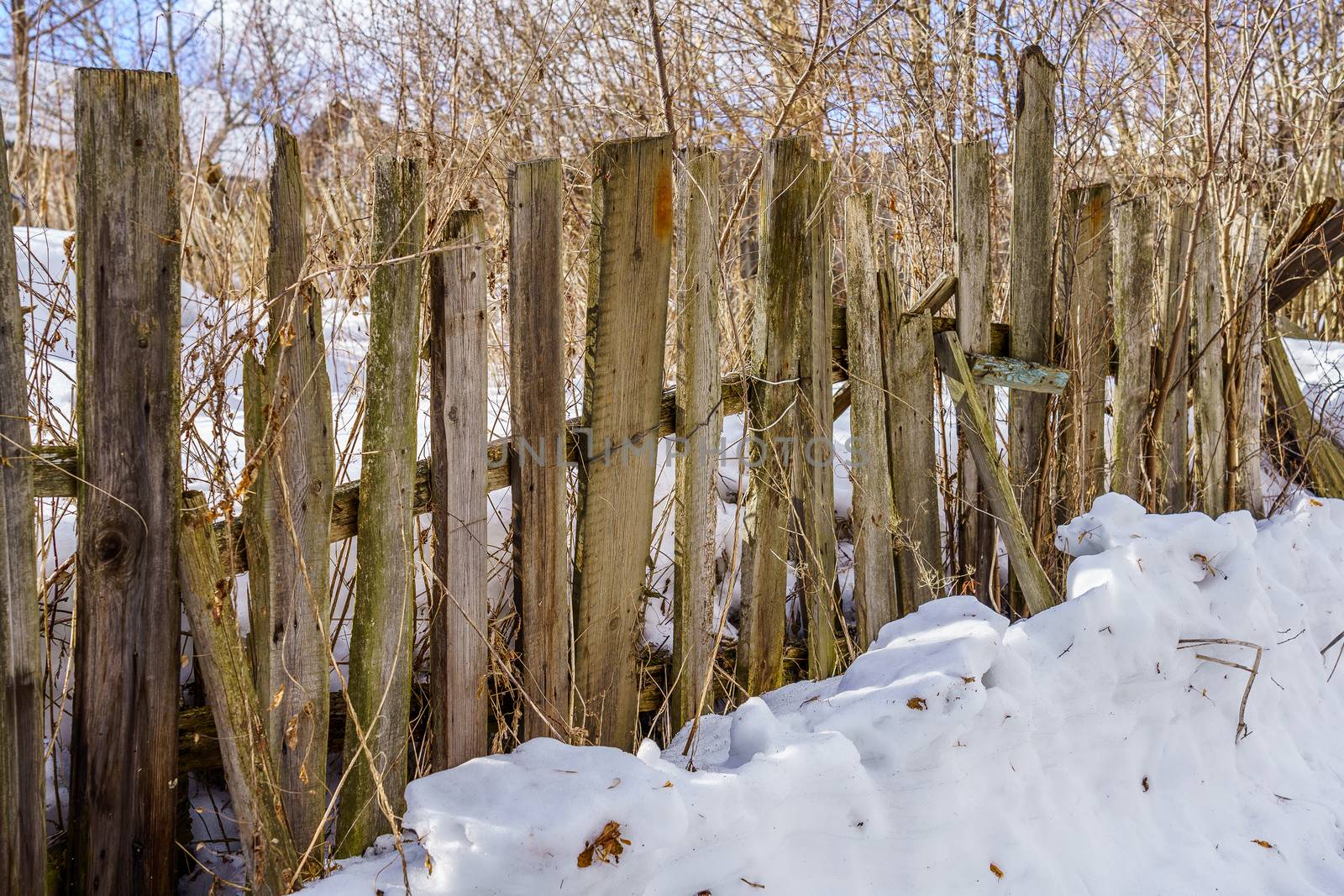 old fence around the garden of nailing boards by VADIM