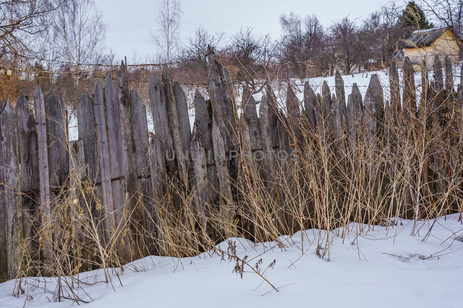 old fence around the garden of nailing boards