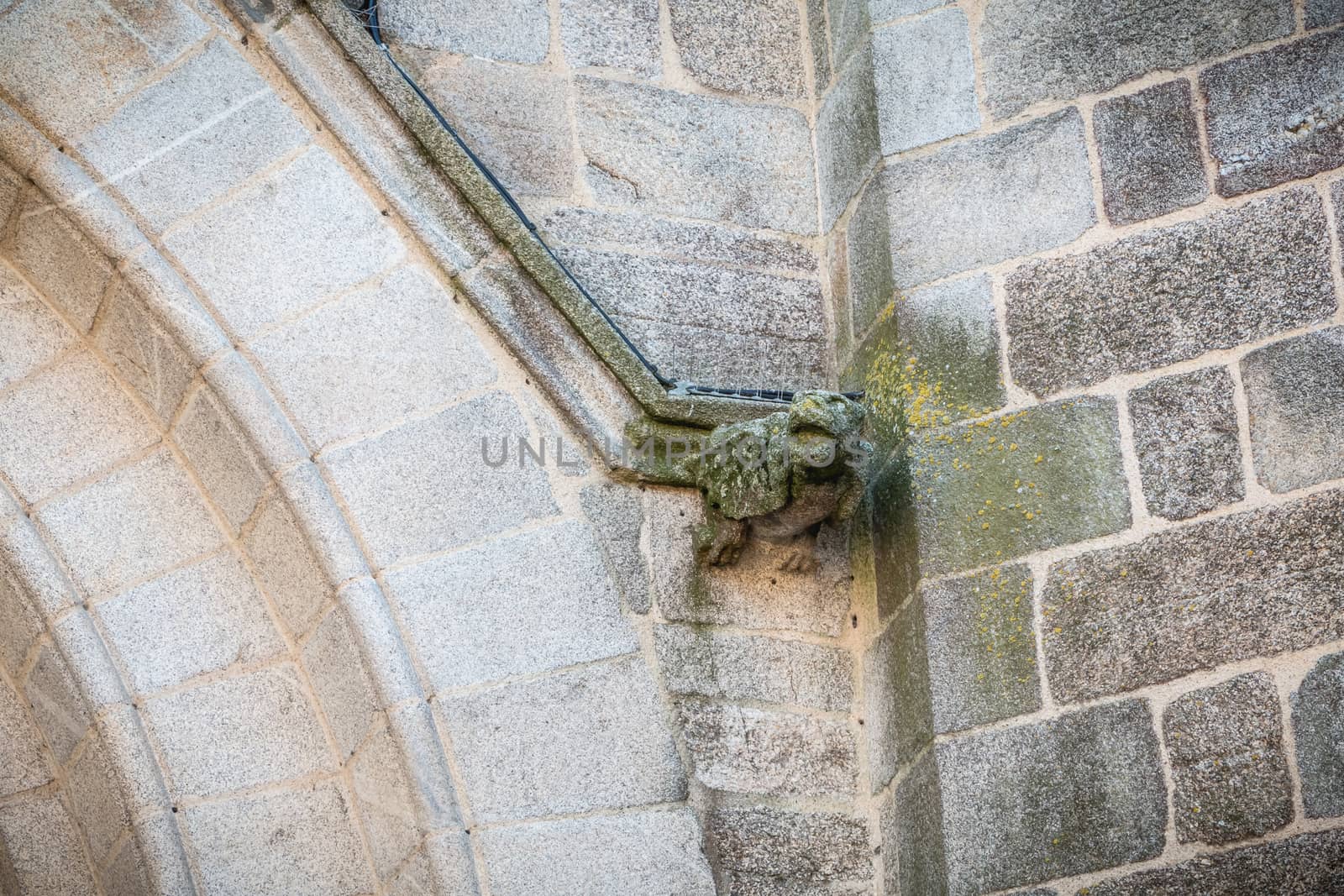 detail of a gargoyle in Saint Jean-Baptiste church in Montaigu, France