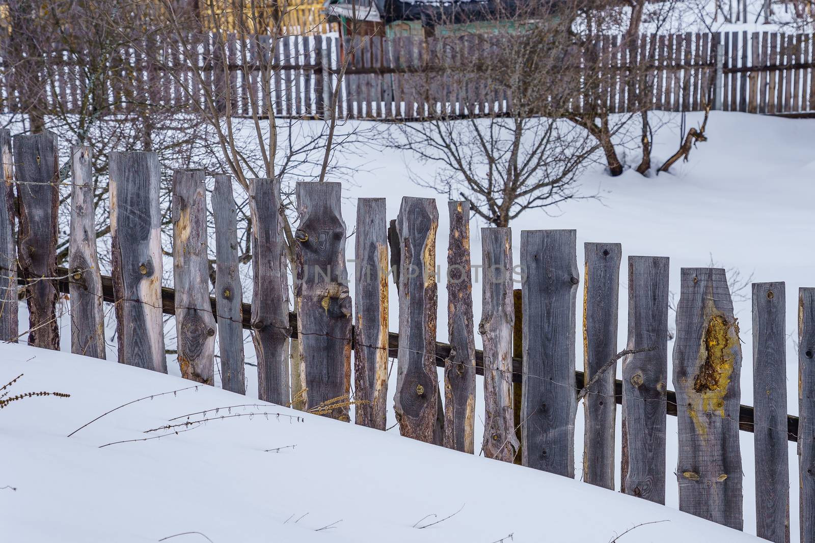 fence around the garden of unpainted boards by VADIM