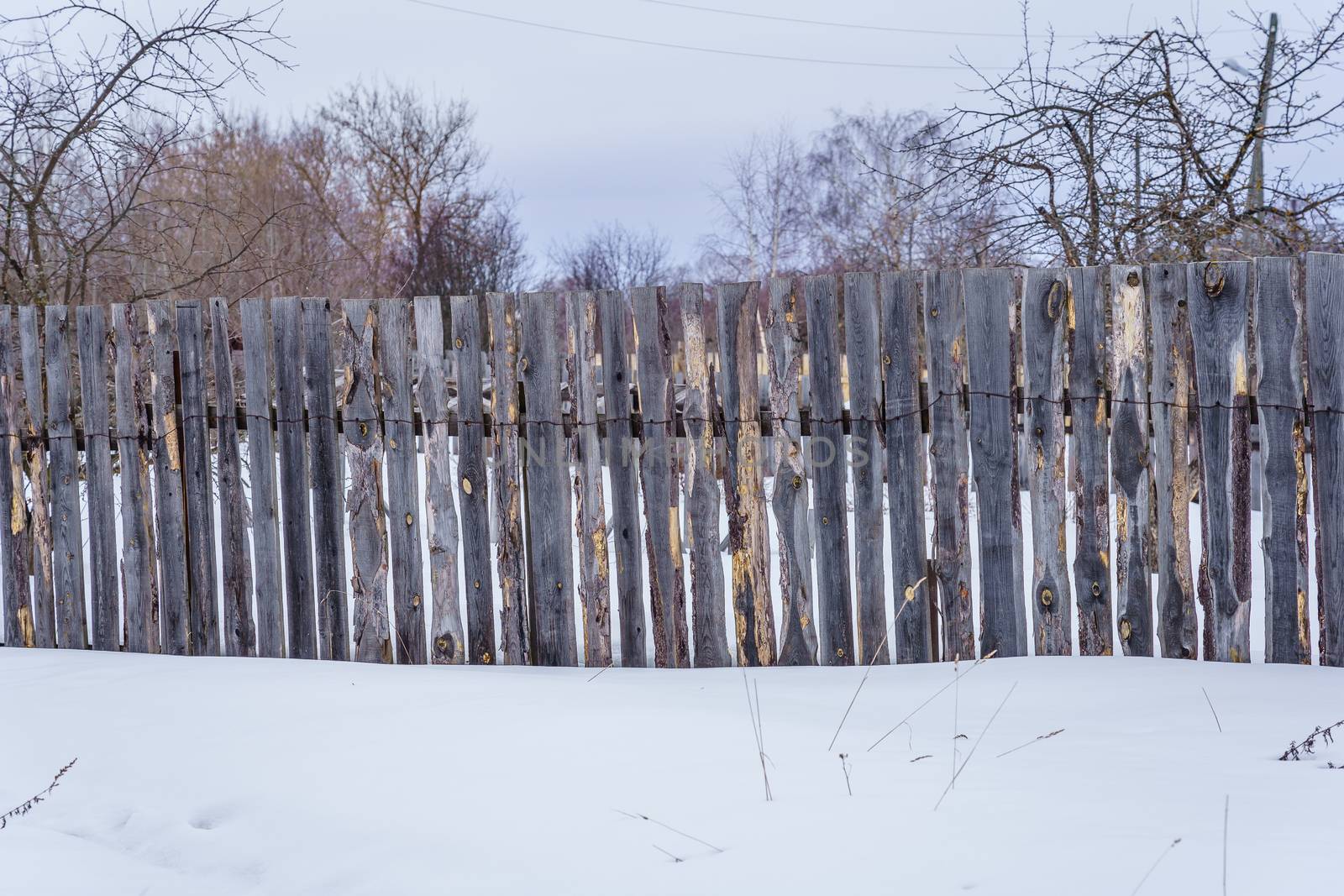 fence around the garden of unpainted boards  by VADIM