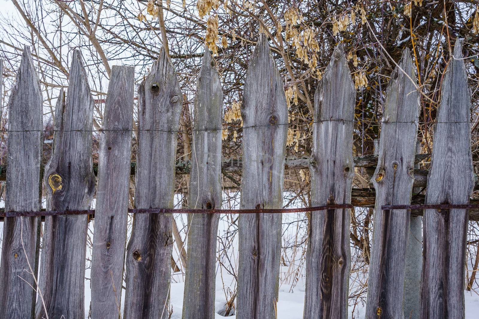 fence around the garden of nailing boards by VADIM