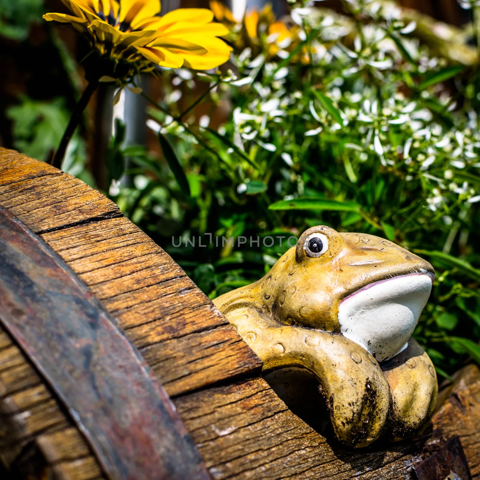Decorative potted frog looking out of a barrel full of flowers