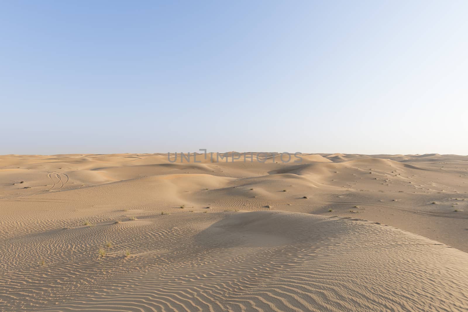 Desert landscape for background  by GABIS