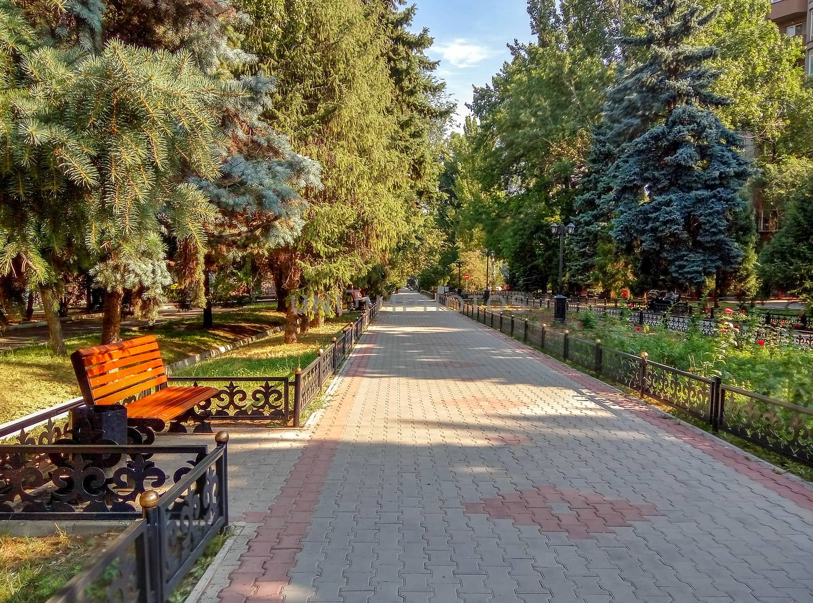 Alley in the city park in summer, Almaty, Kazakhstan