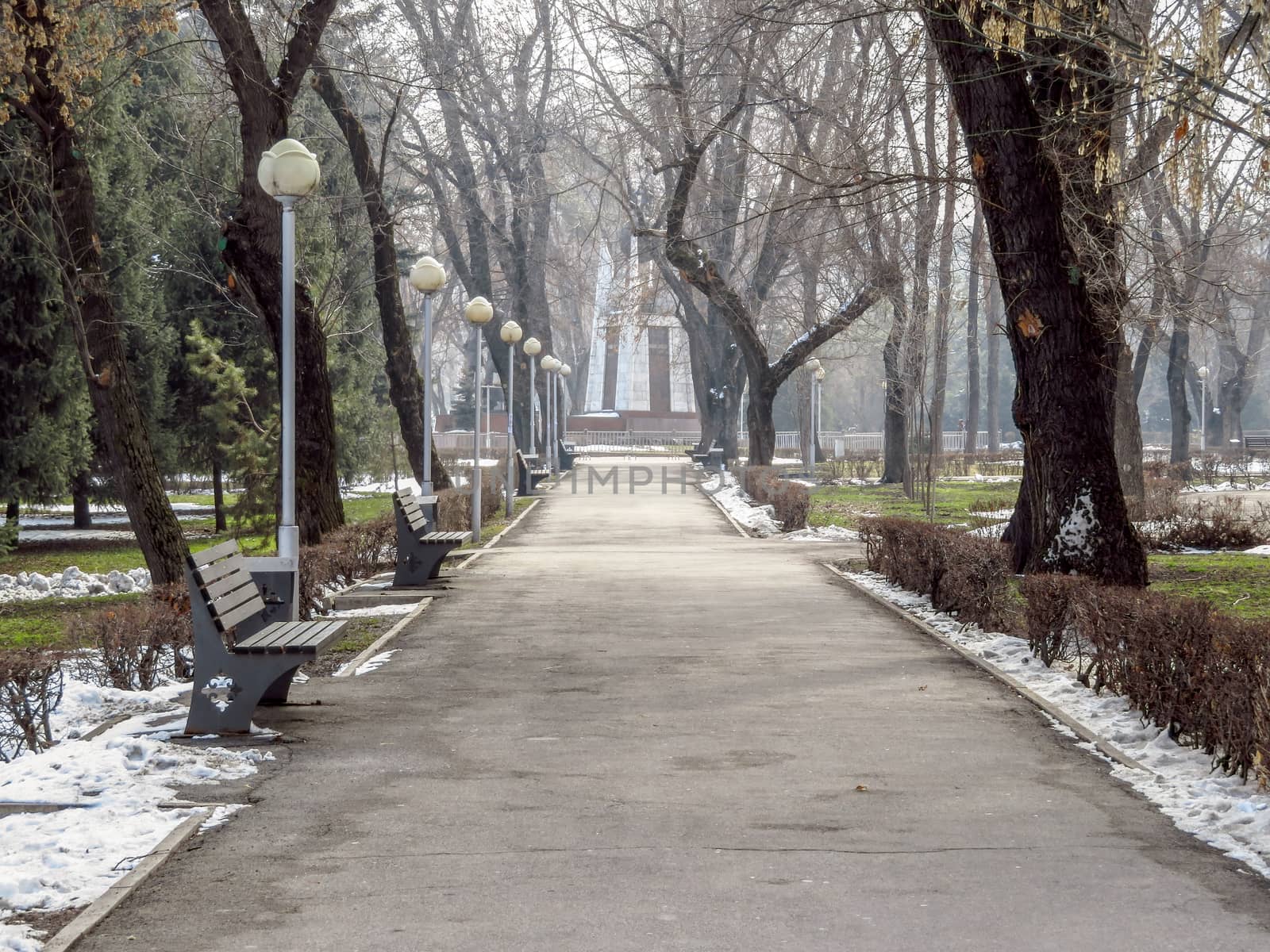 Alley in the city park in springtime, Almaty, Kazakhstan