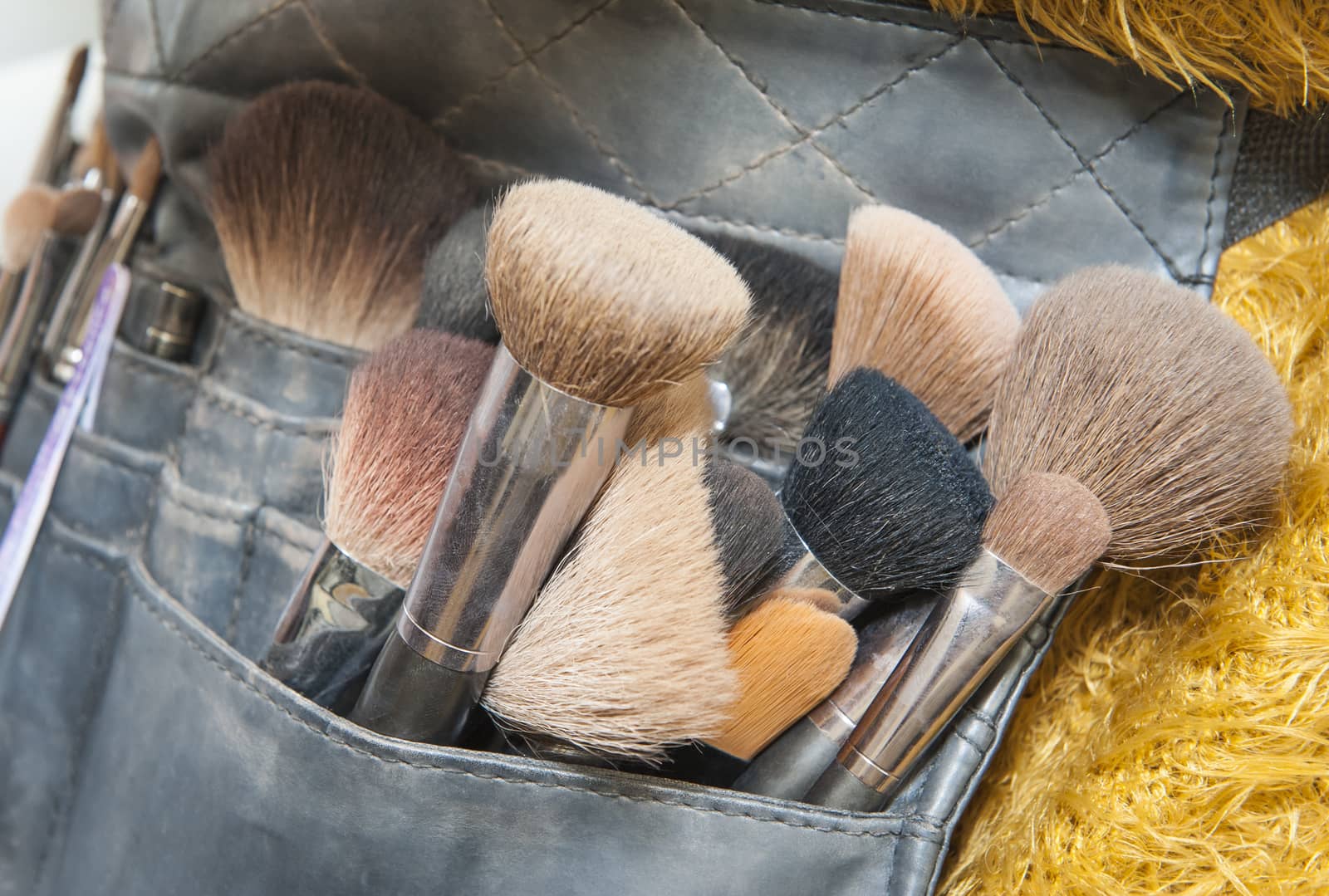 Selection of makeup brushes in pouch by paulvinten