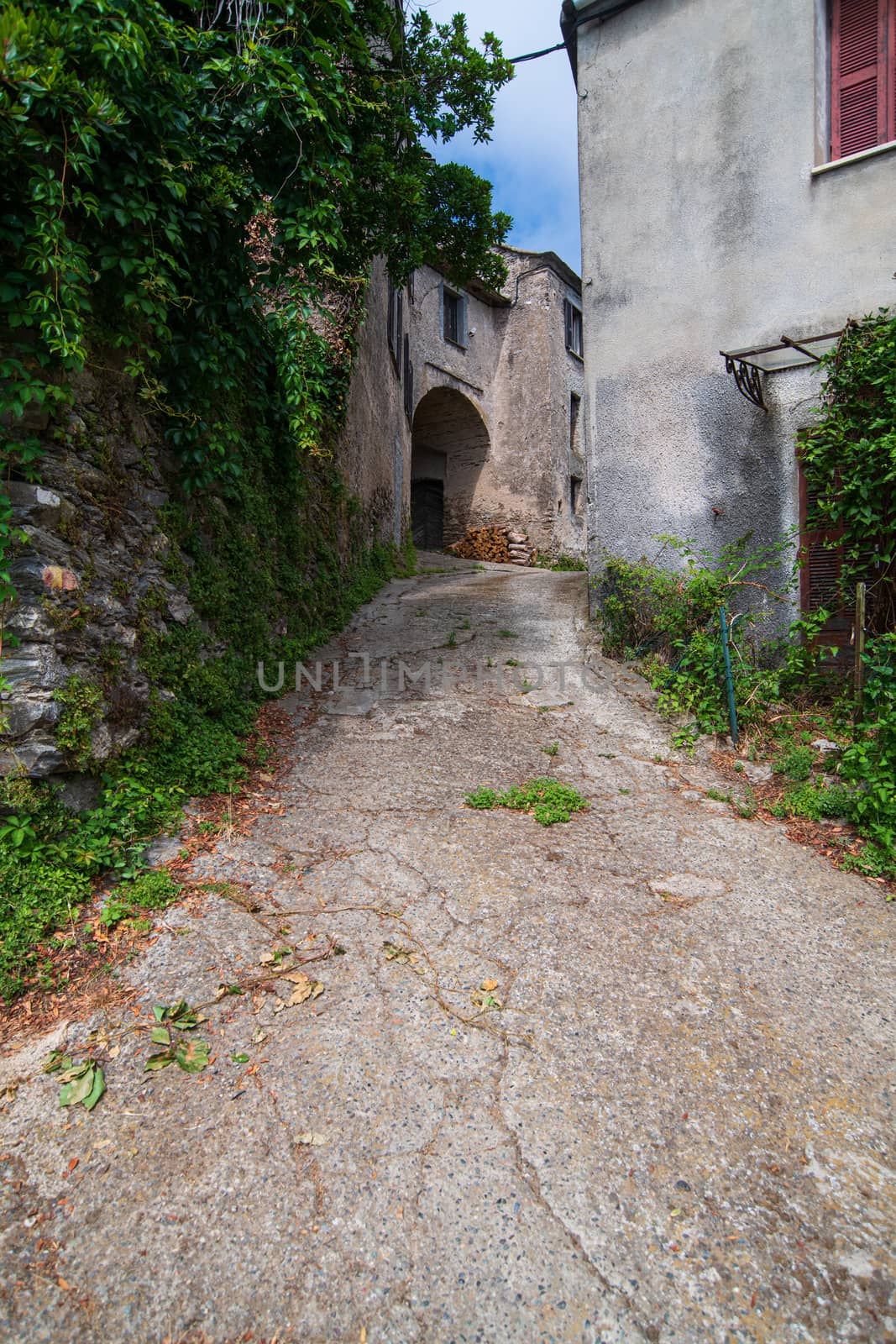 Alley in Costarician village by Youri