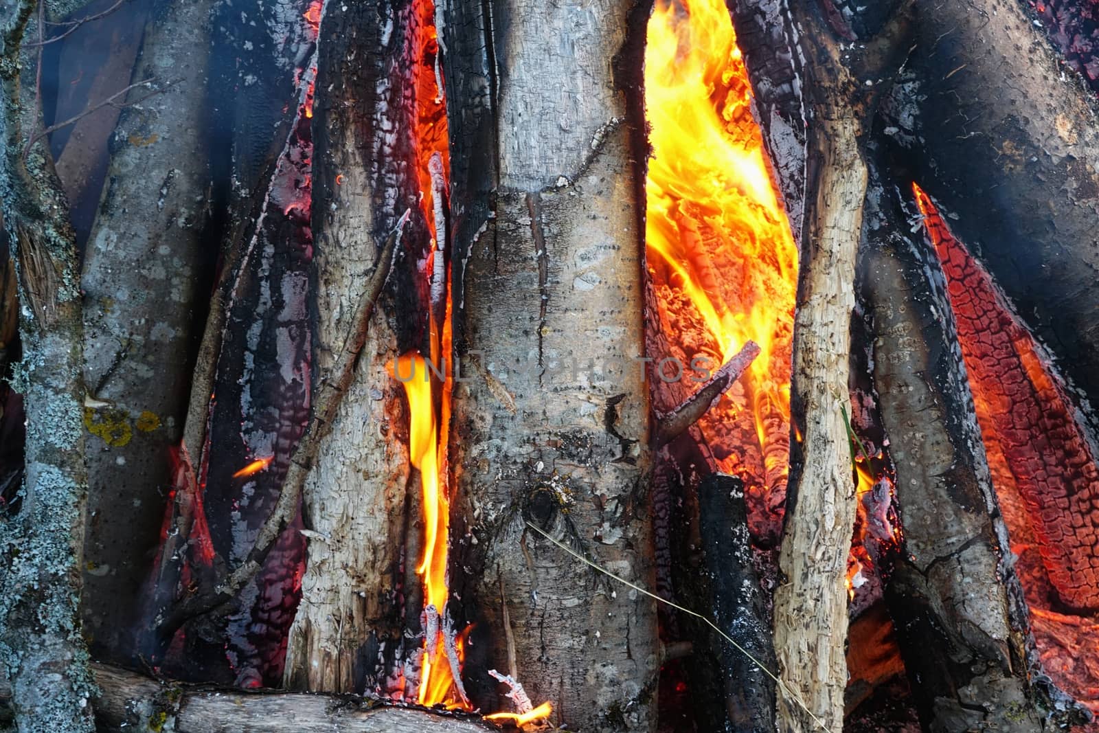 Large fire in the celebration of midsummer holidays night (Ligo) in Latvia