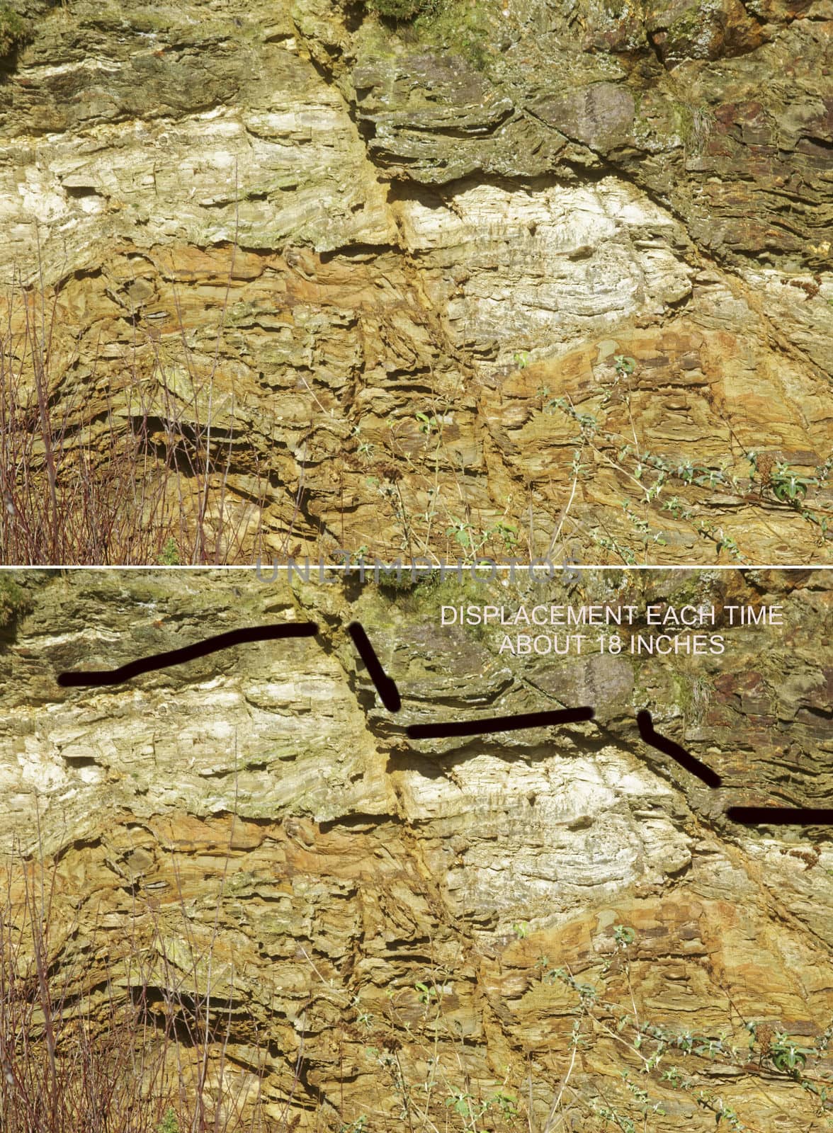 Image of a section of the cliffs at Carlyon Bay on the Coast of Cornwall, UK.  Shows the structure and Geology of these 300/400 million year old mudstone and siltstone sedimentary rocks.