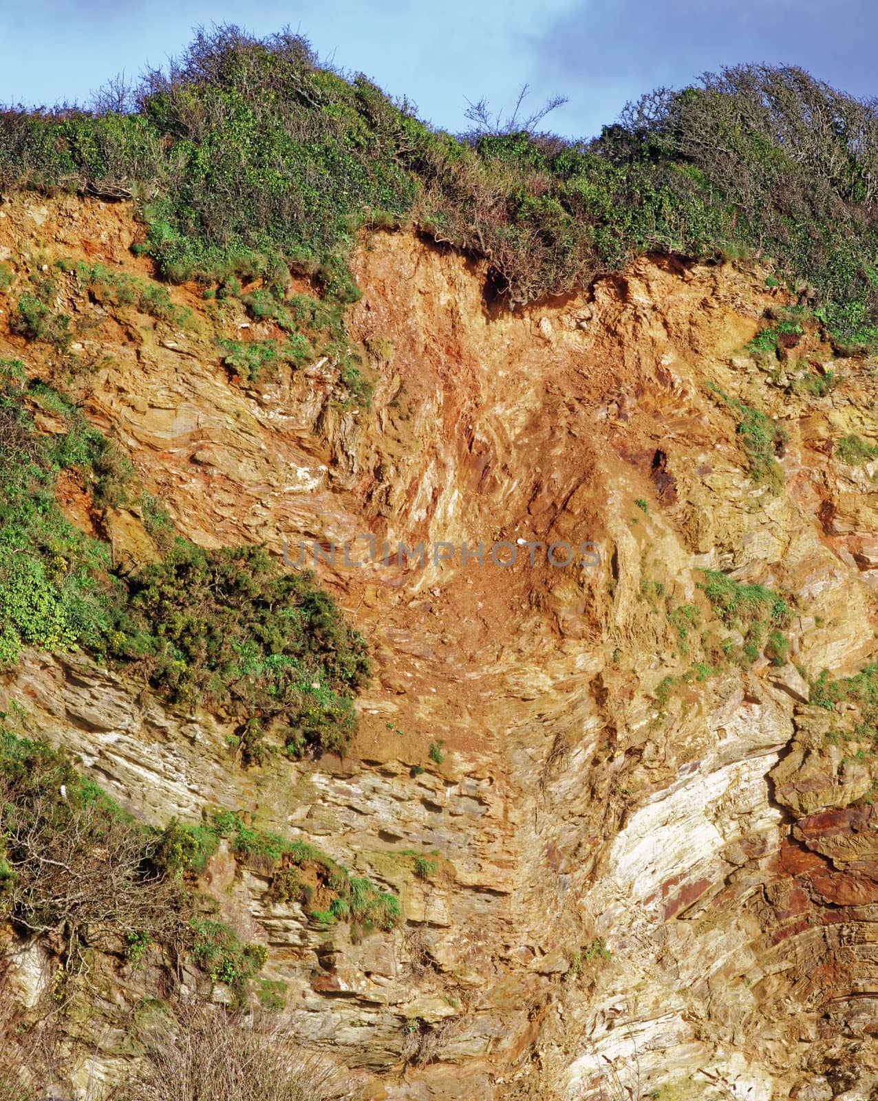 Image of a section of the cliffs at Carlyon Bay on the Coast of Cornwall, UK.  Shows the structure and Geology of these 300/400 million year old mudstone and siltstone sedimentary rocks.