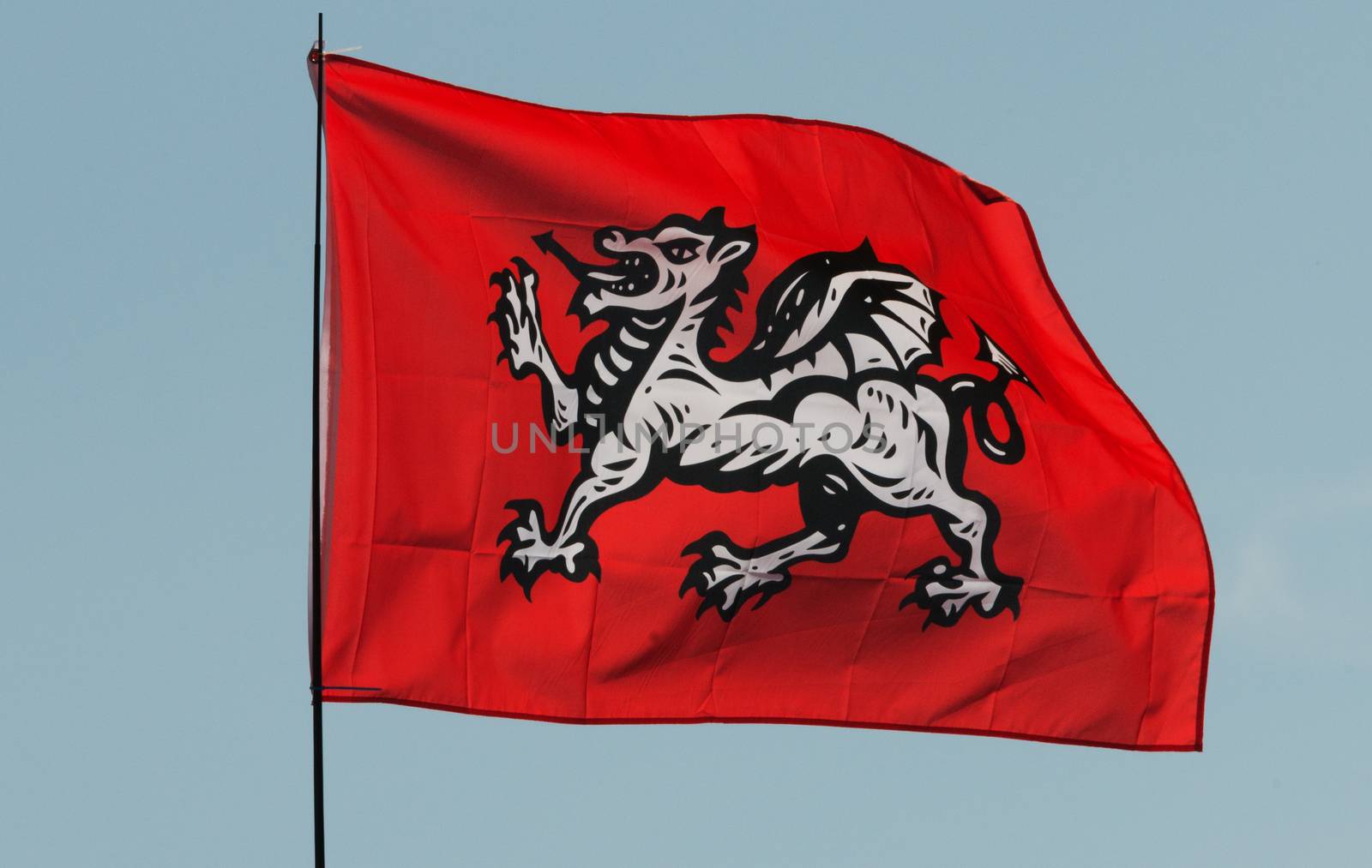 English White Dragon Flag