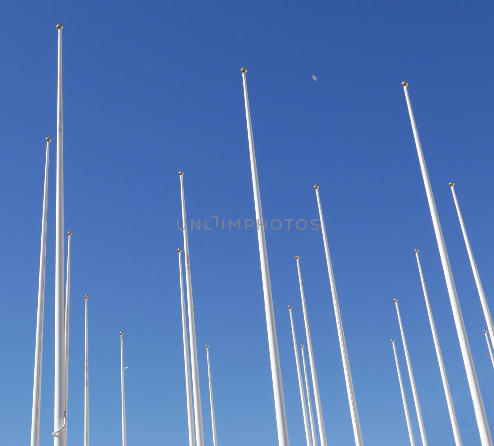 An Array of Flagpoles with no flags against a blue sky