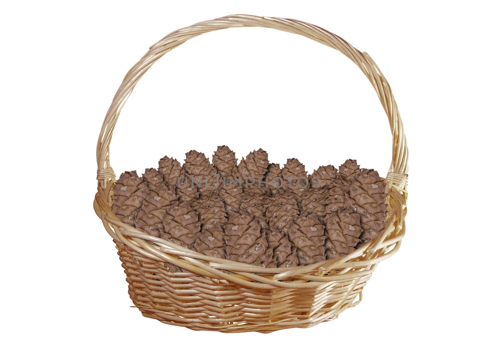 Basket with cedar cones isolated on white background