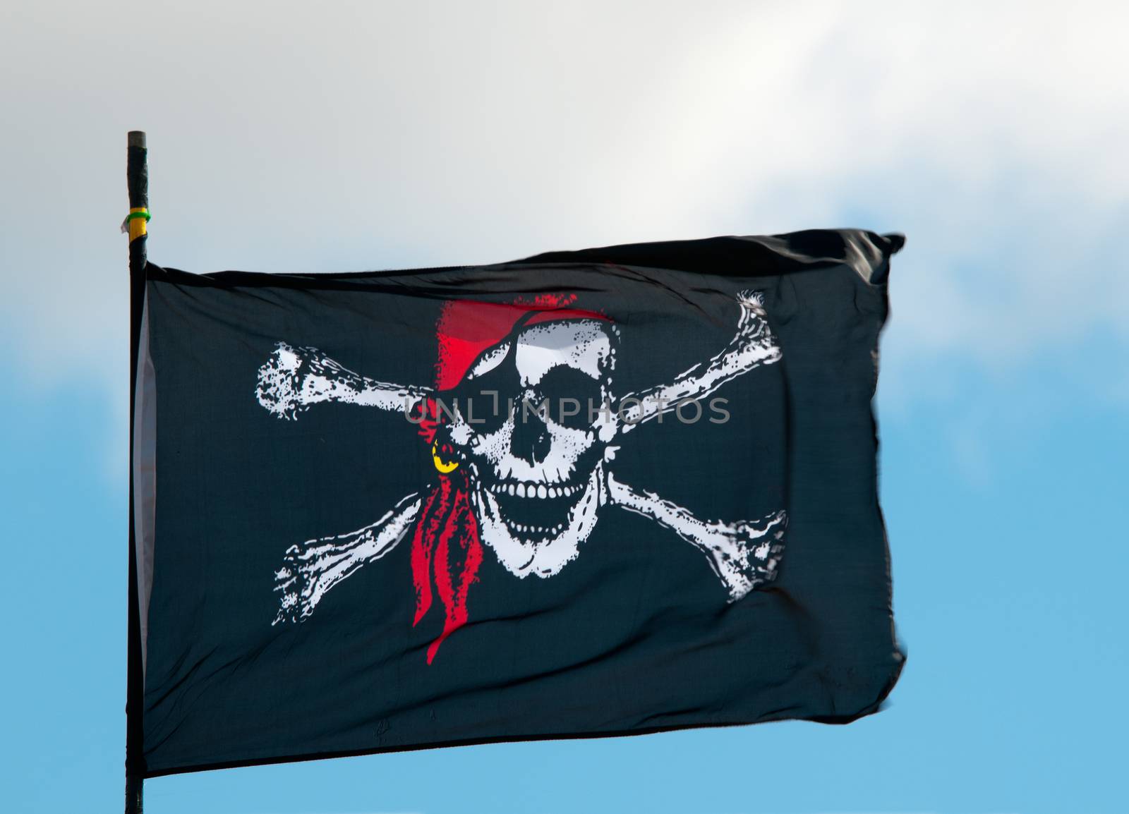 Pirate Flag Flying in Wind