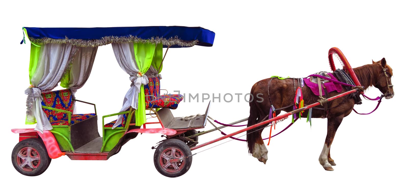 Horse carriages isolated on white. Clipping Path included