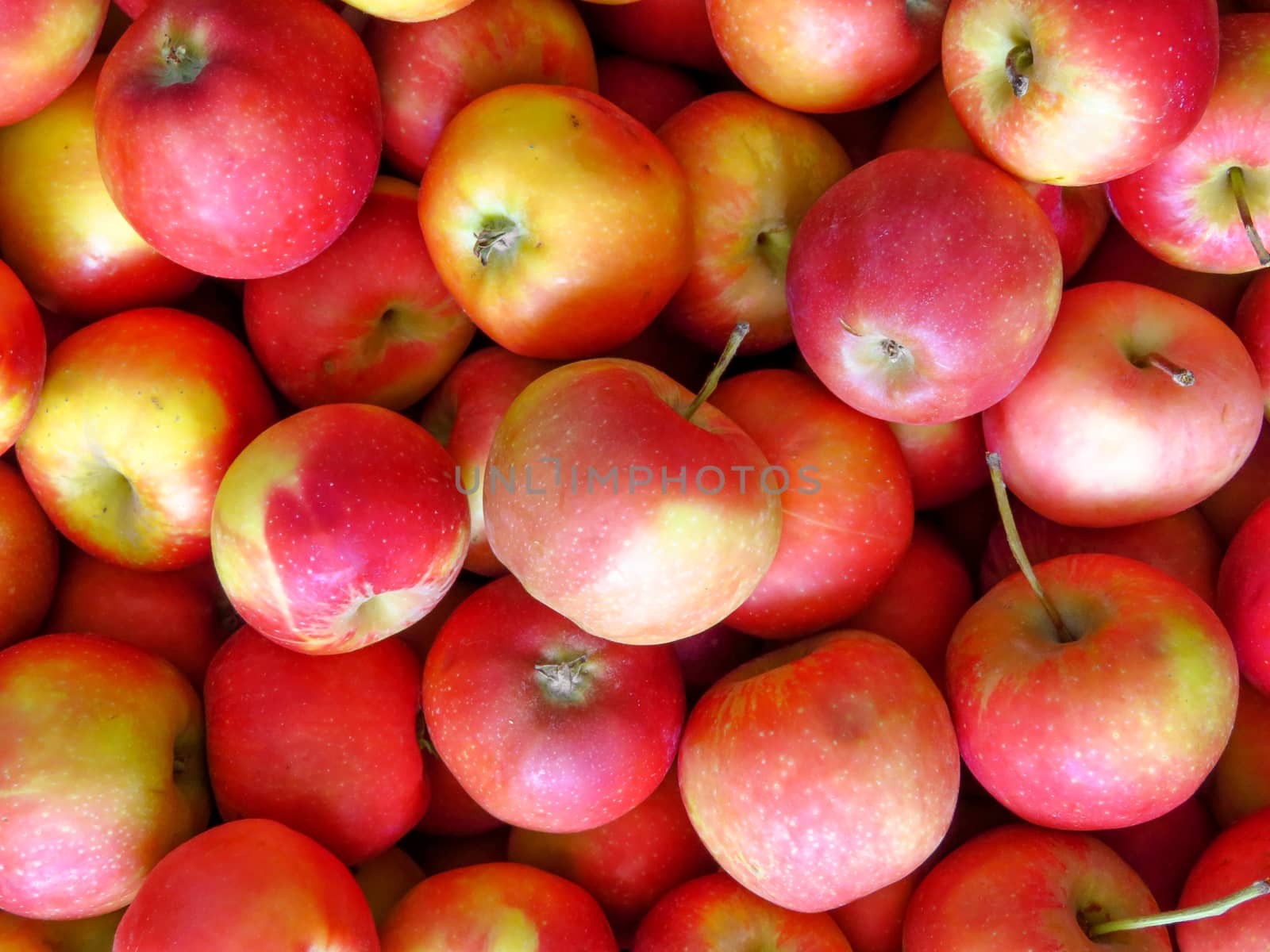 Red apples background by Venakr