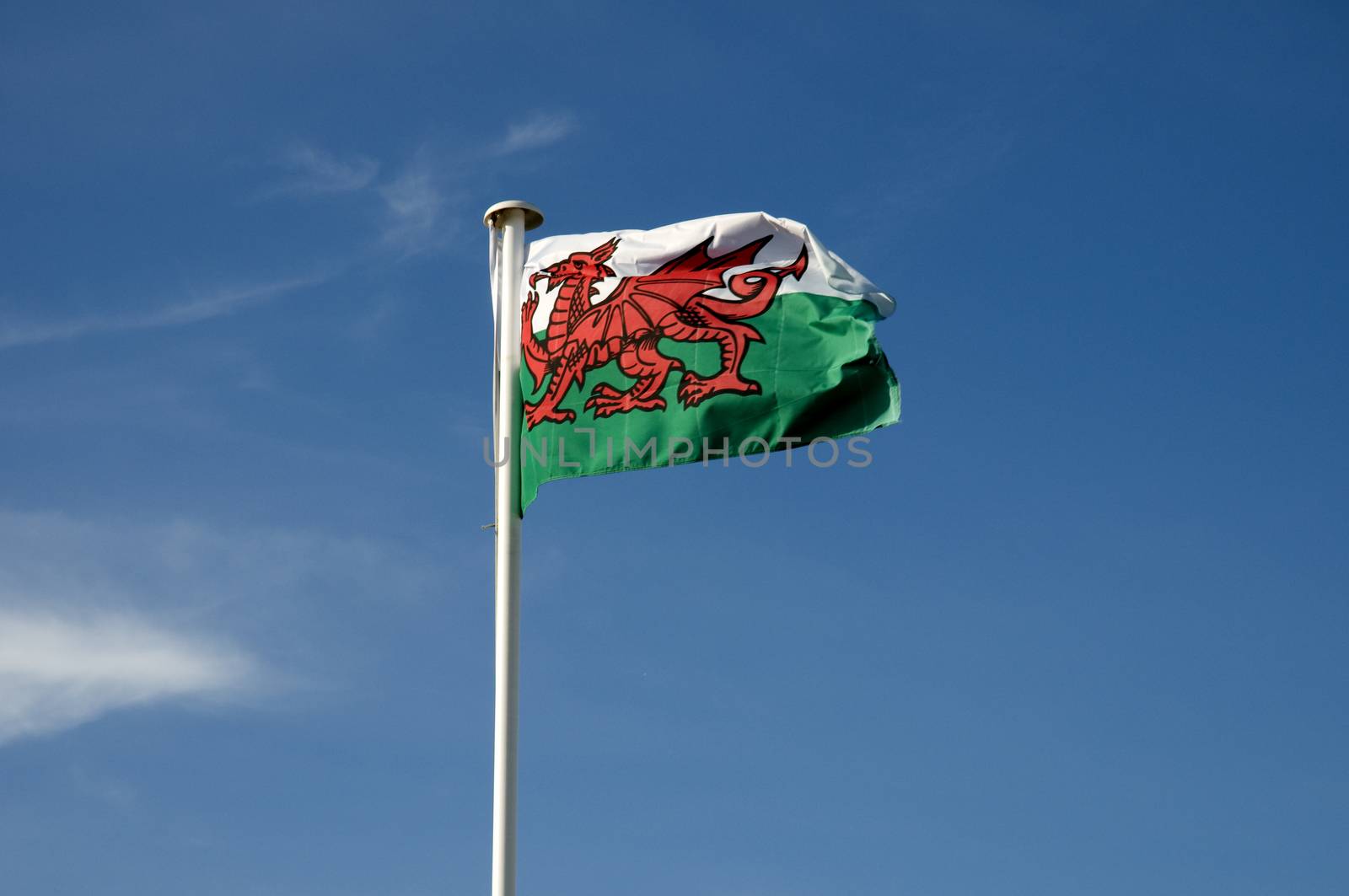 Welsh Flag by TimAwe