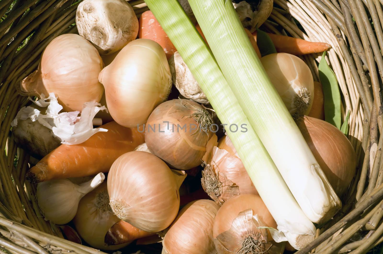 A basket of fresh English Vegetables