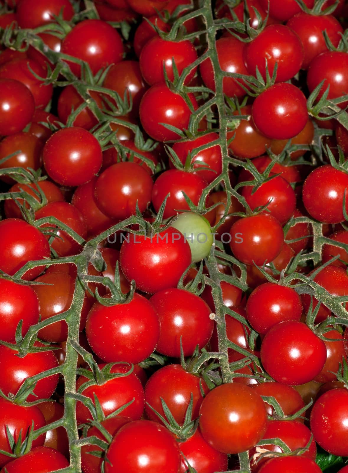 Cherry Tomatoes on the vine by TimAwe