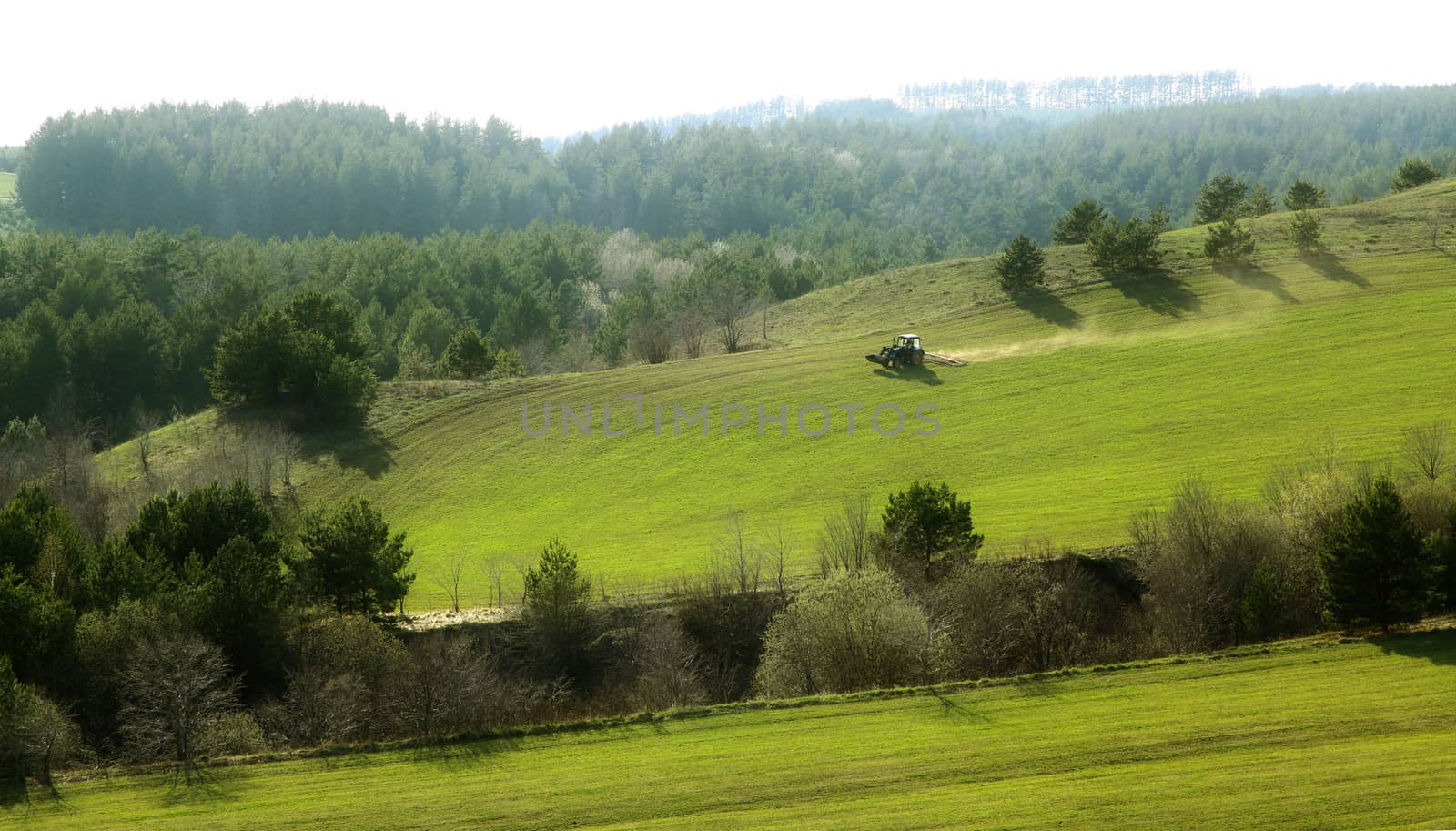 landscape with green hills and blue sky. by sveter