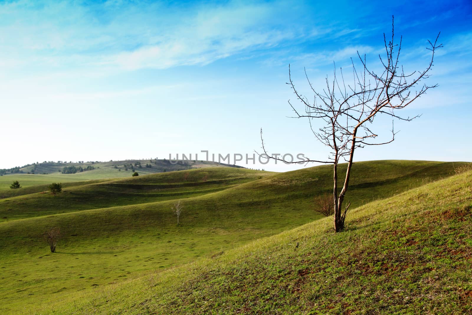 Beautiful summer landscape with green hills and blue sky.