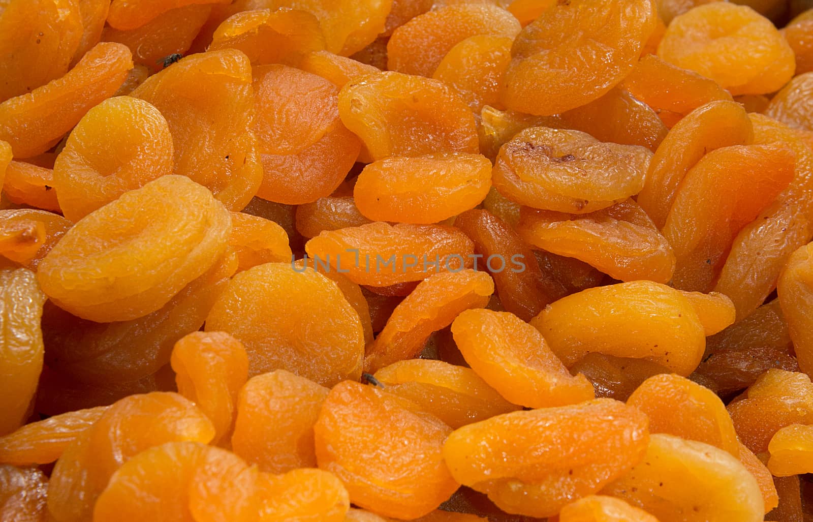 Dried Apricots by TimAwe