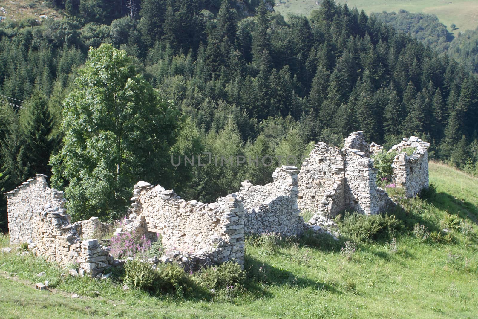 Ruins of shepherds' houses