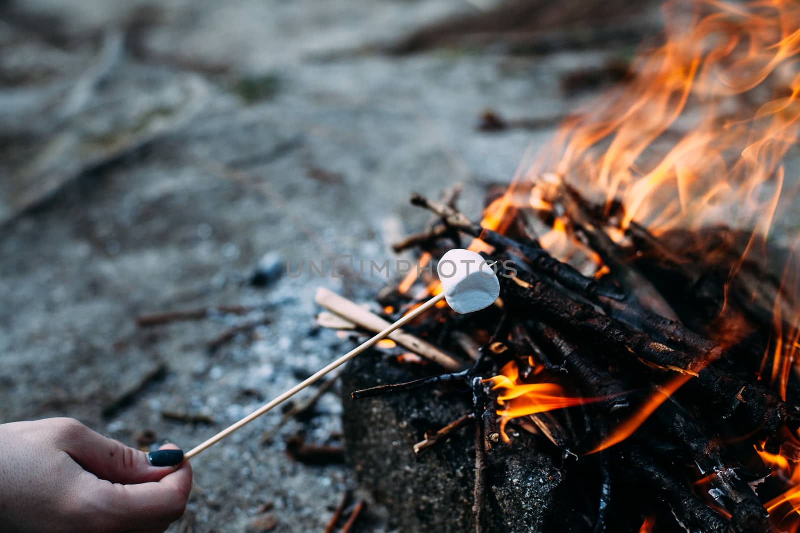 Marshmallow on a stick at the stake. Fried marshmallows. Picnic in the nature. Marshmallows on a background of fire.